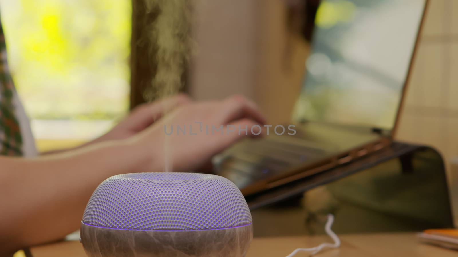 Steam from humidifier with aromatic perfume while woman is working on laptop.