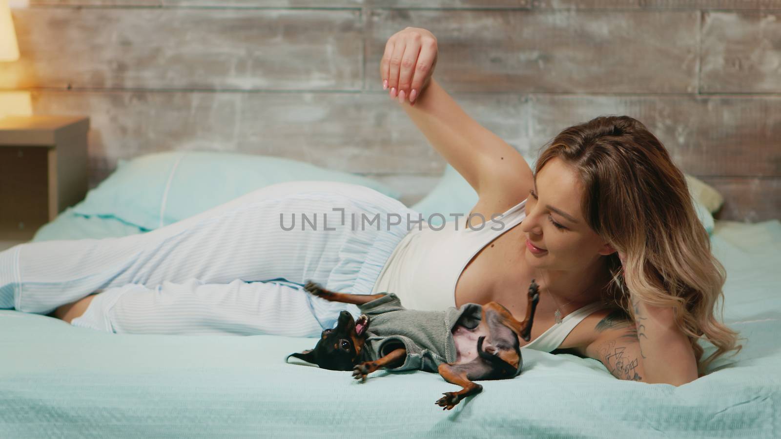 Caucasian young woman in pajamas smiling while playing with her dog by DCStudio