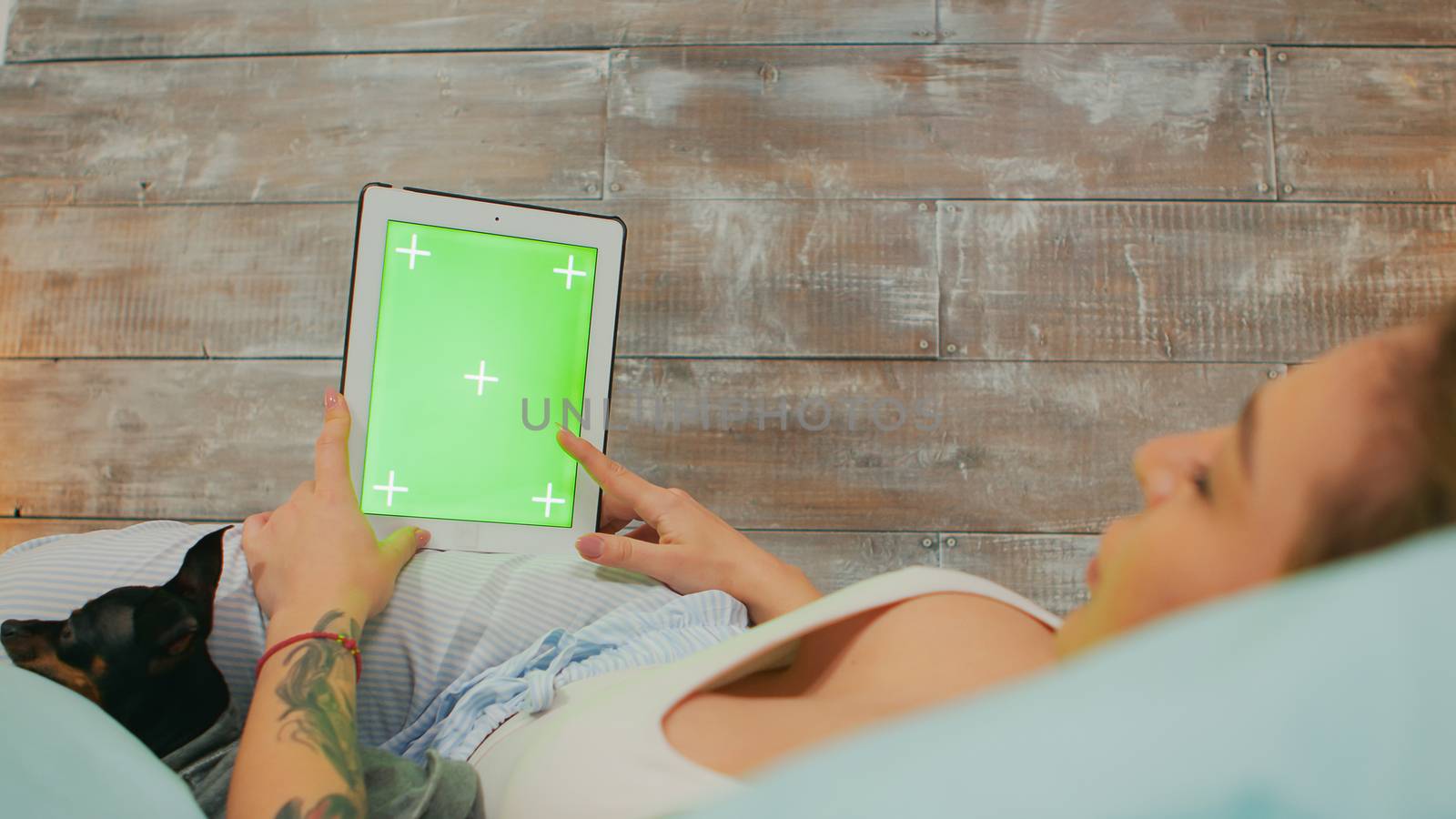 Back view of woman in pajamas lying in bed using tablet computer with green mock up. happy pet.