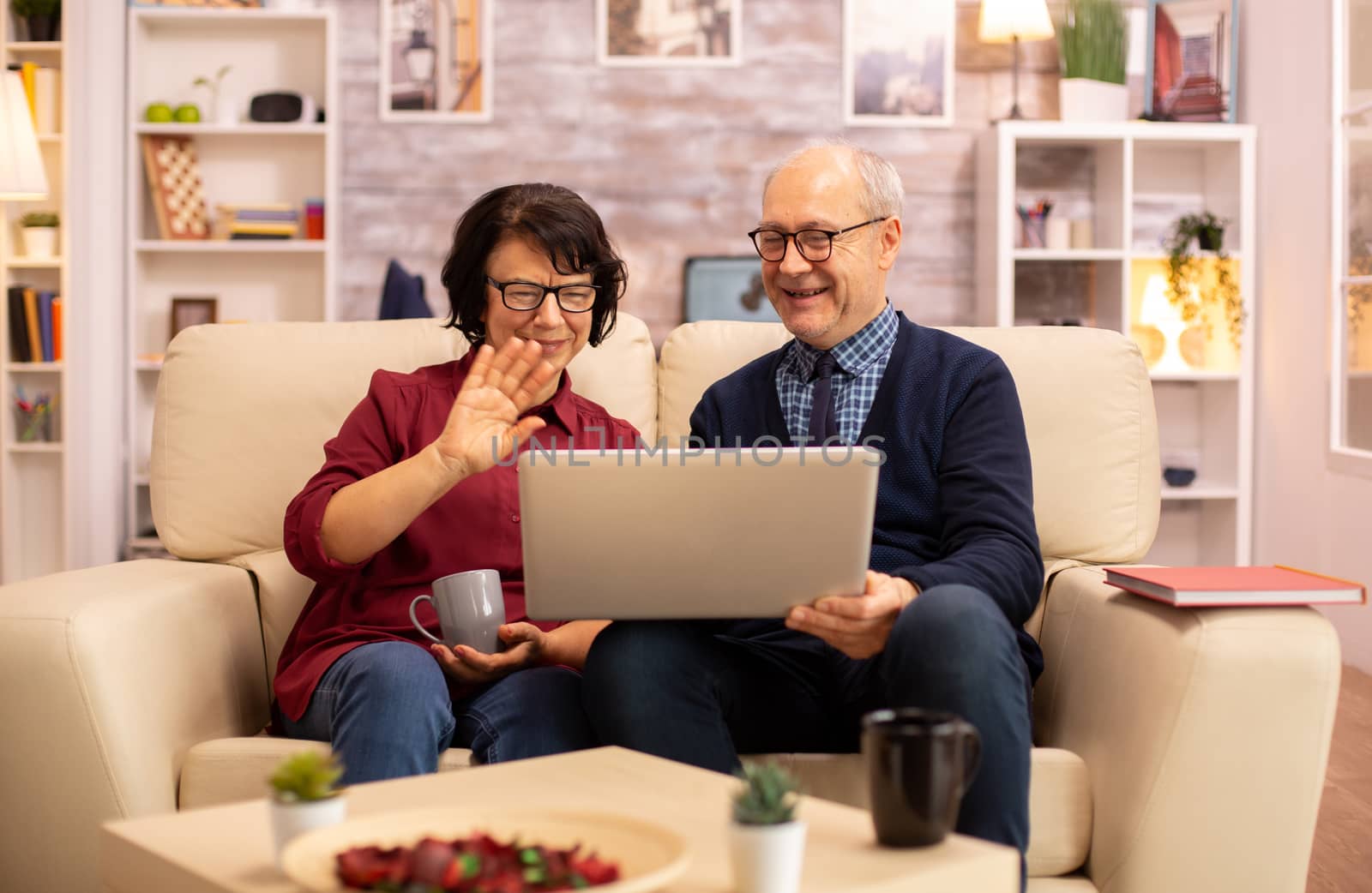 Elderly old couple using modern laptop to chat with their grandson. Grandmother and grandfather using modern technology