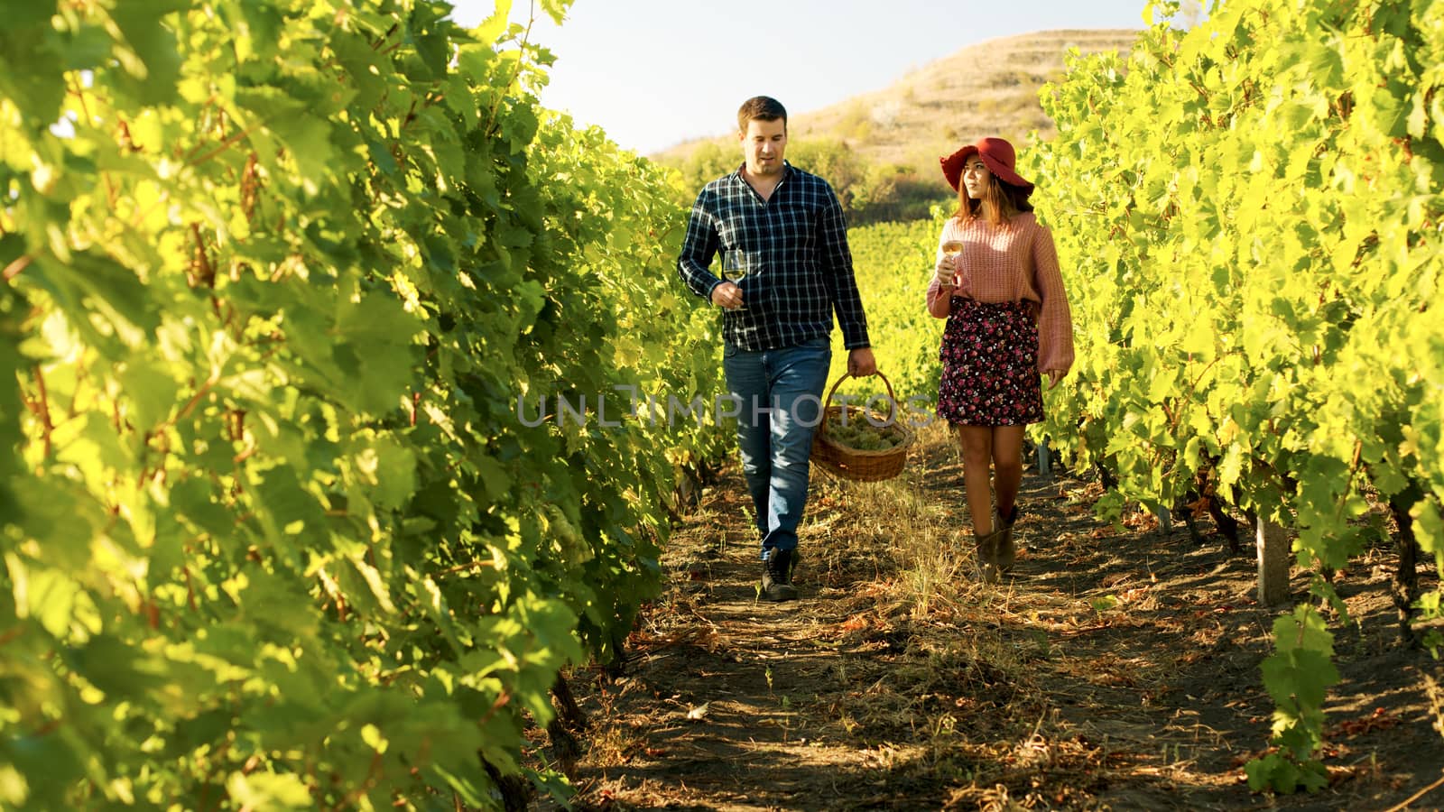 Couple walking in a vineyard with glasses of wine in hands. The man is carrying a basket of grapes.