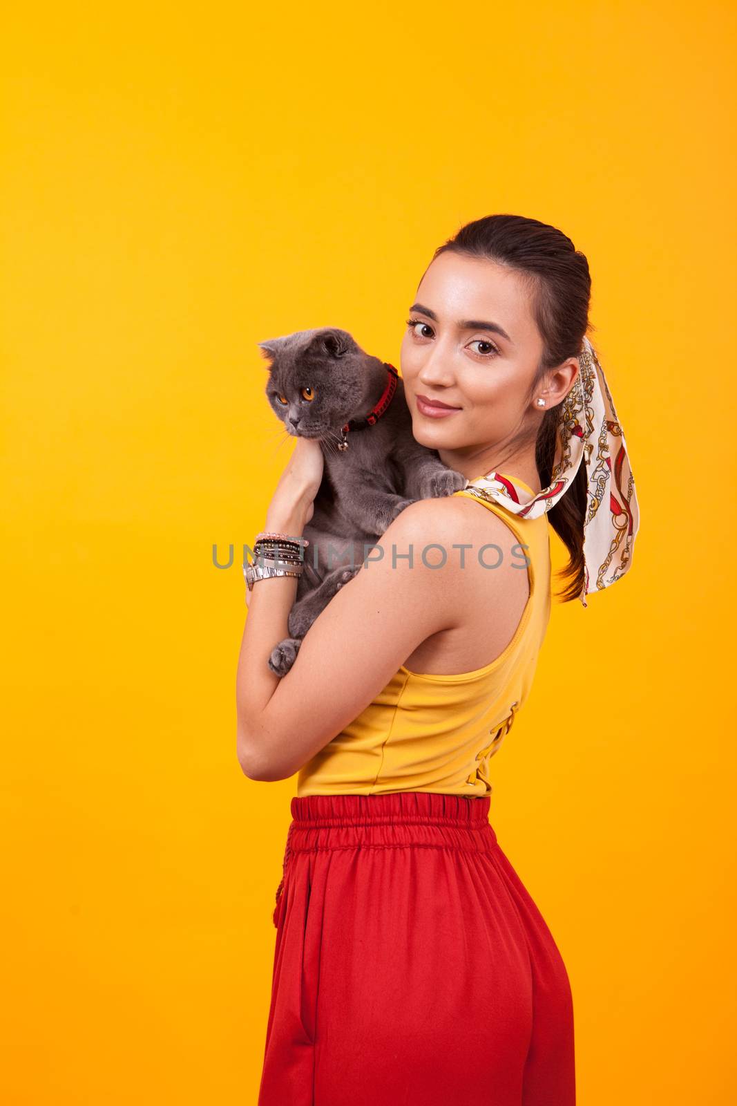 Happy beautiful girl and her adorable cat. Pretty girl holding cat with pedigree.