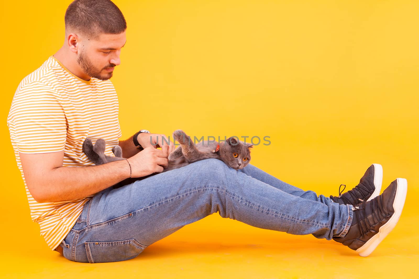 Young man rubbing his cat belly in studio over yellow background. Happy young man with his cat.