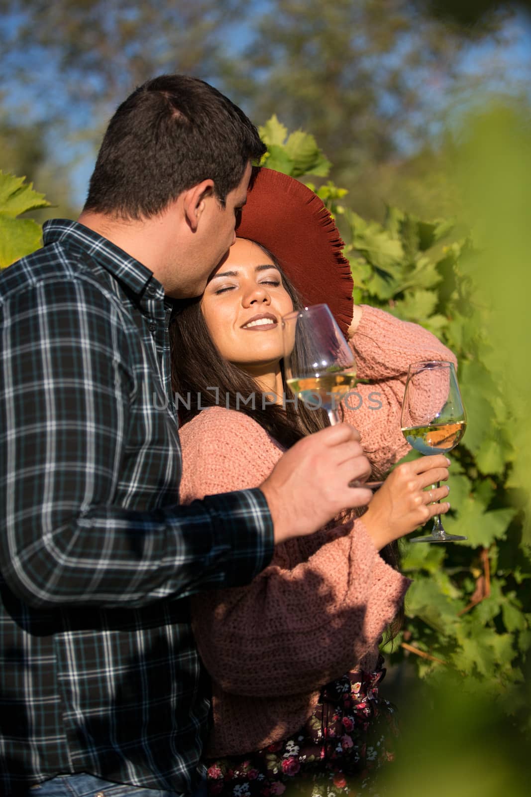 Husband kissing his wife forehead in a green vineyard and holding a glass of wine.