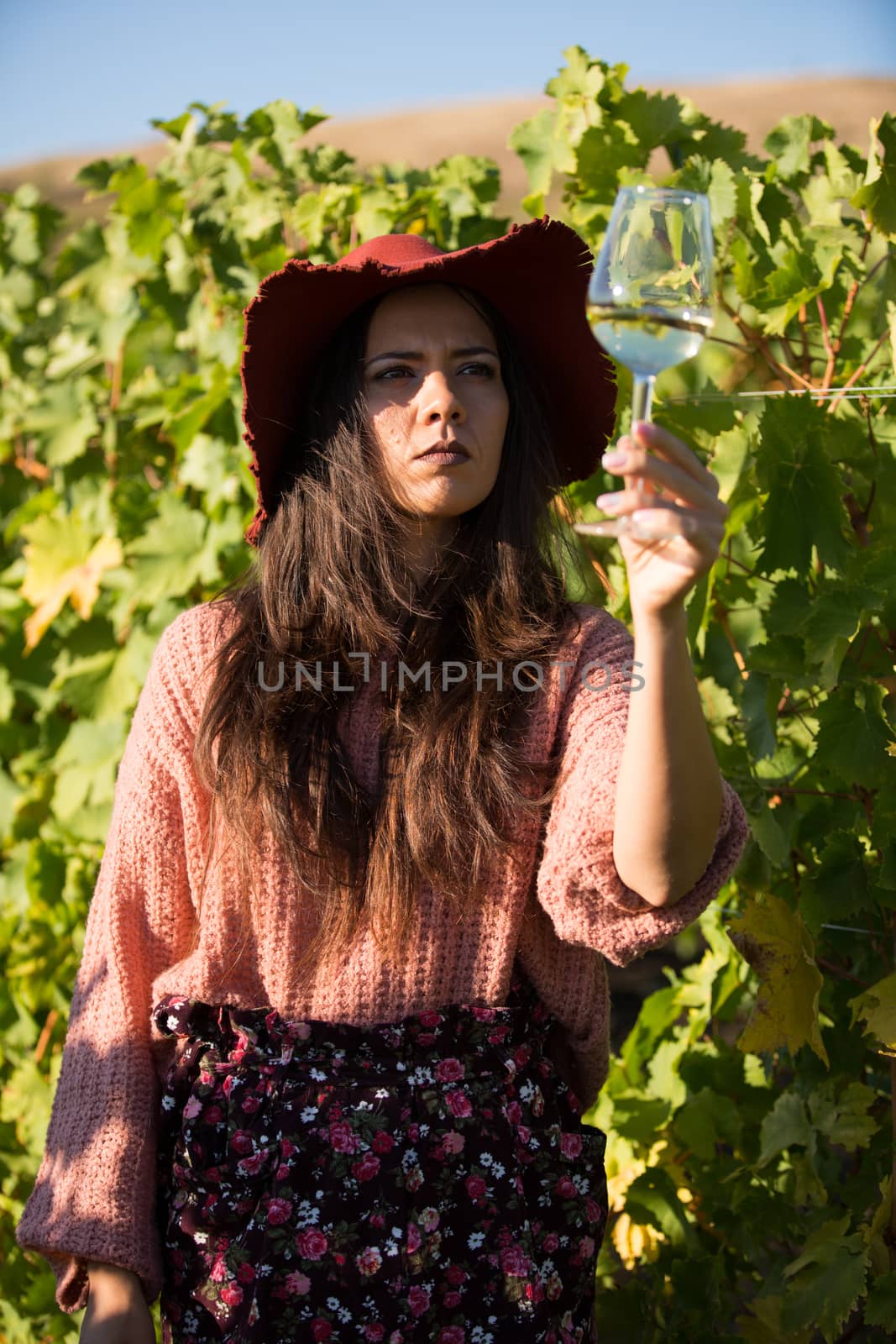 Young woman looking at color of wine in drinking glass. Female owner looking at glass of wine.