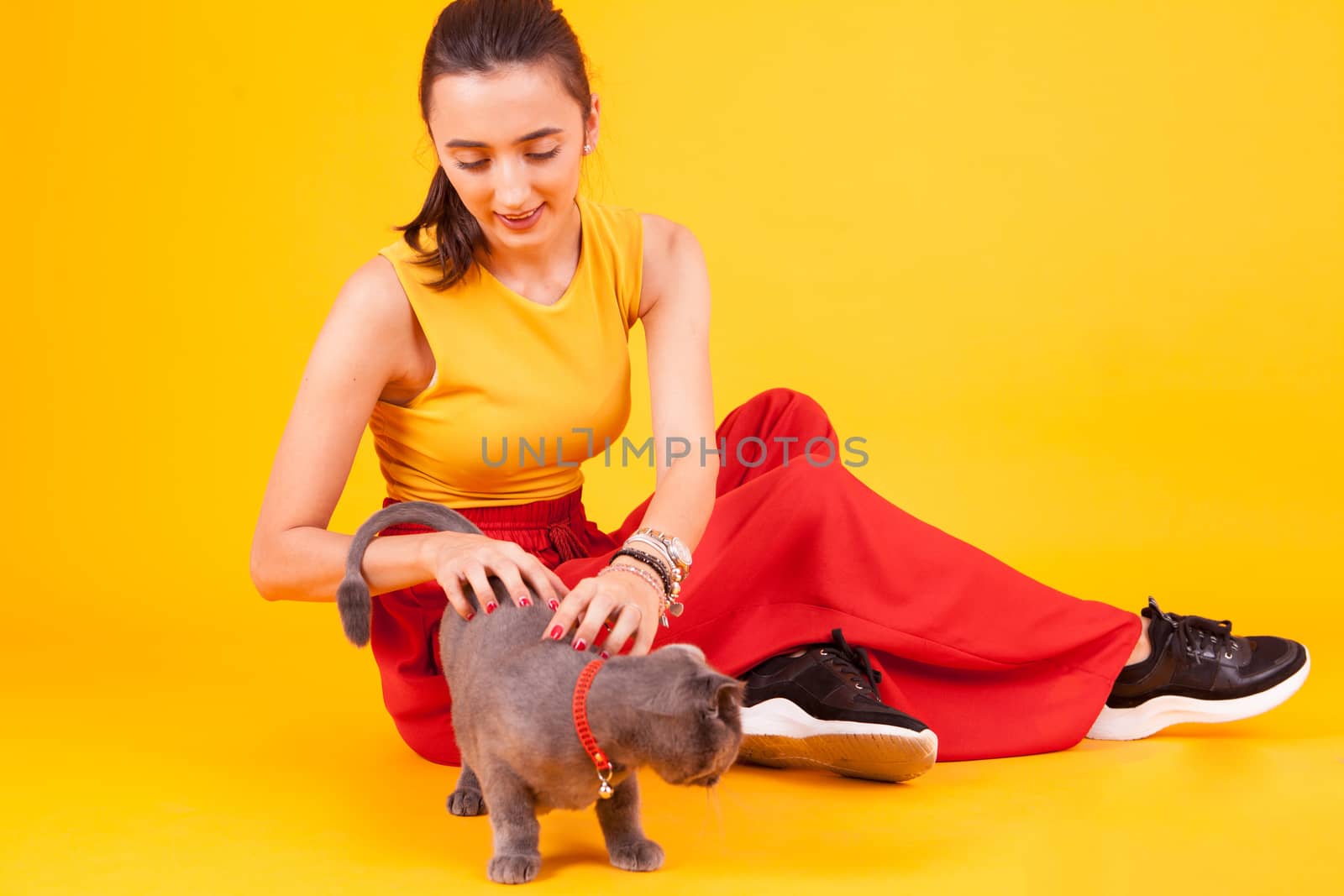 Beautiful young woman scratching the back of her adorable cat in studio over yellow background.
