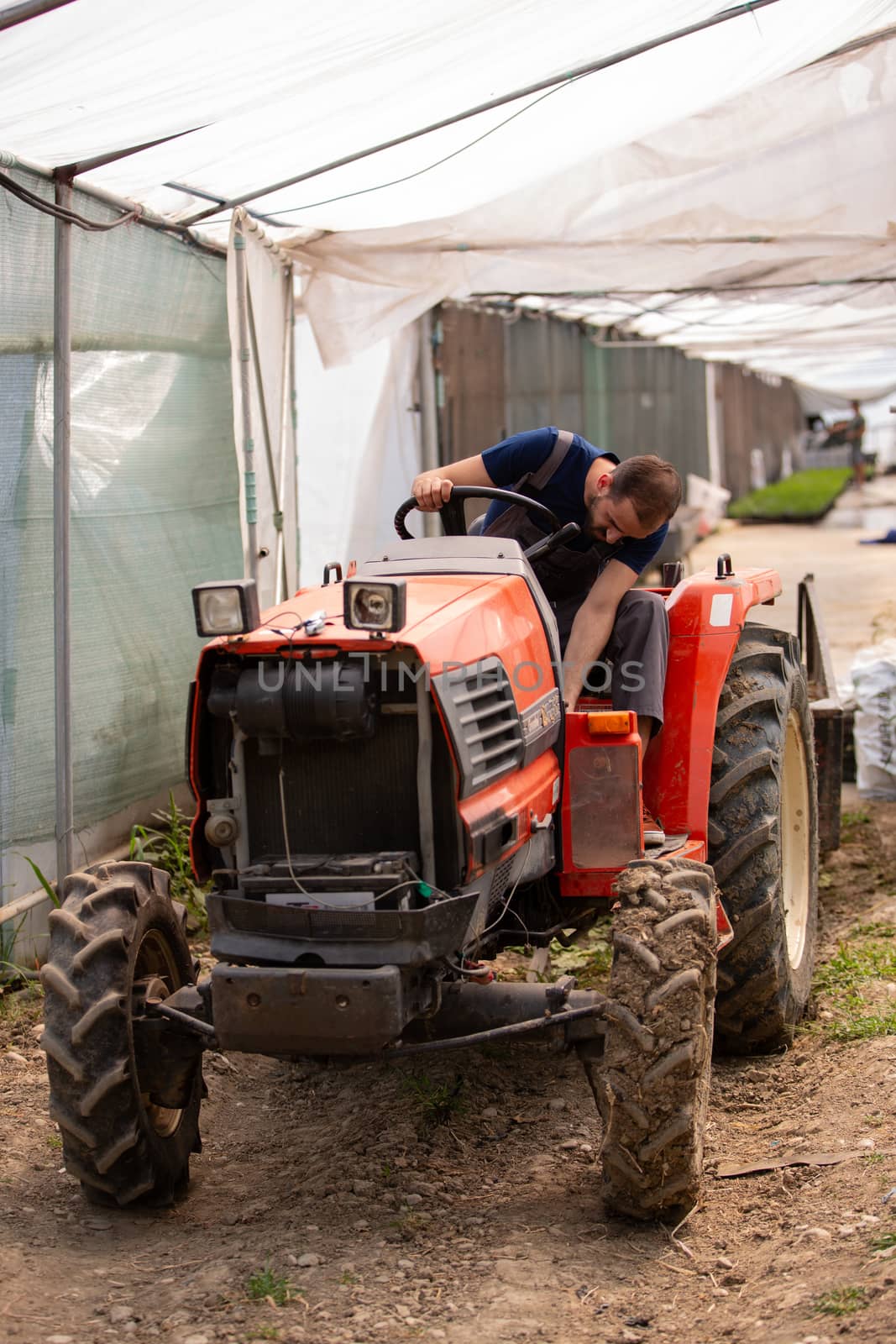 Young farmer sitting on a tractor in a greenhouse. Rural ocupation