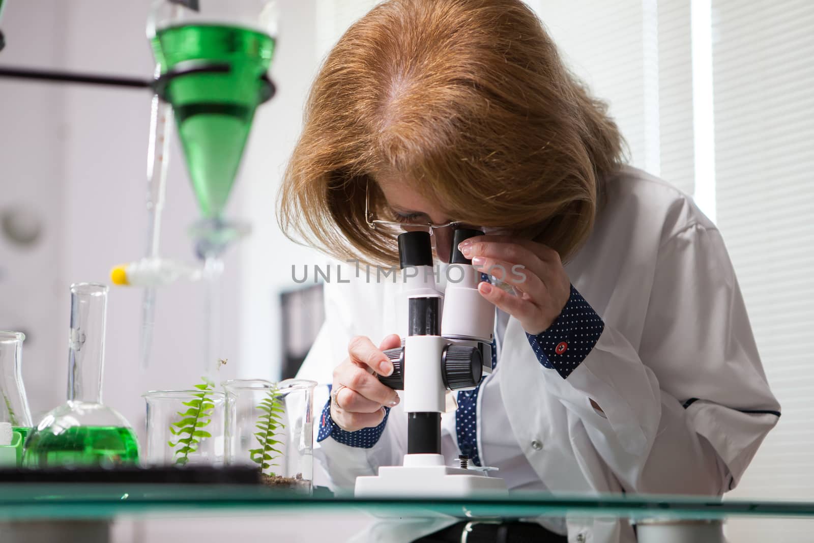 Female in microbiological industry adjusting her microscope. Woman working in a plant factory.