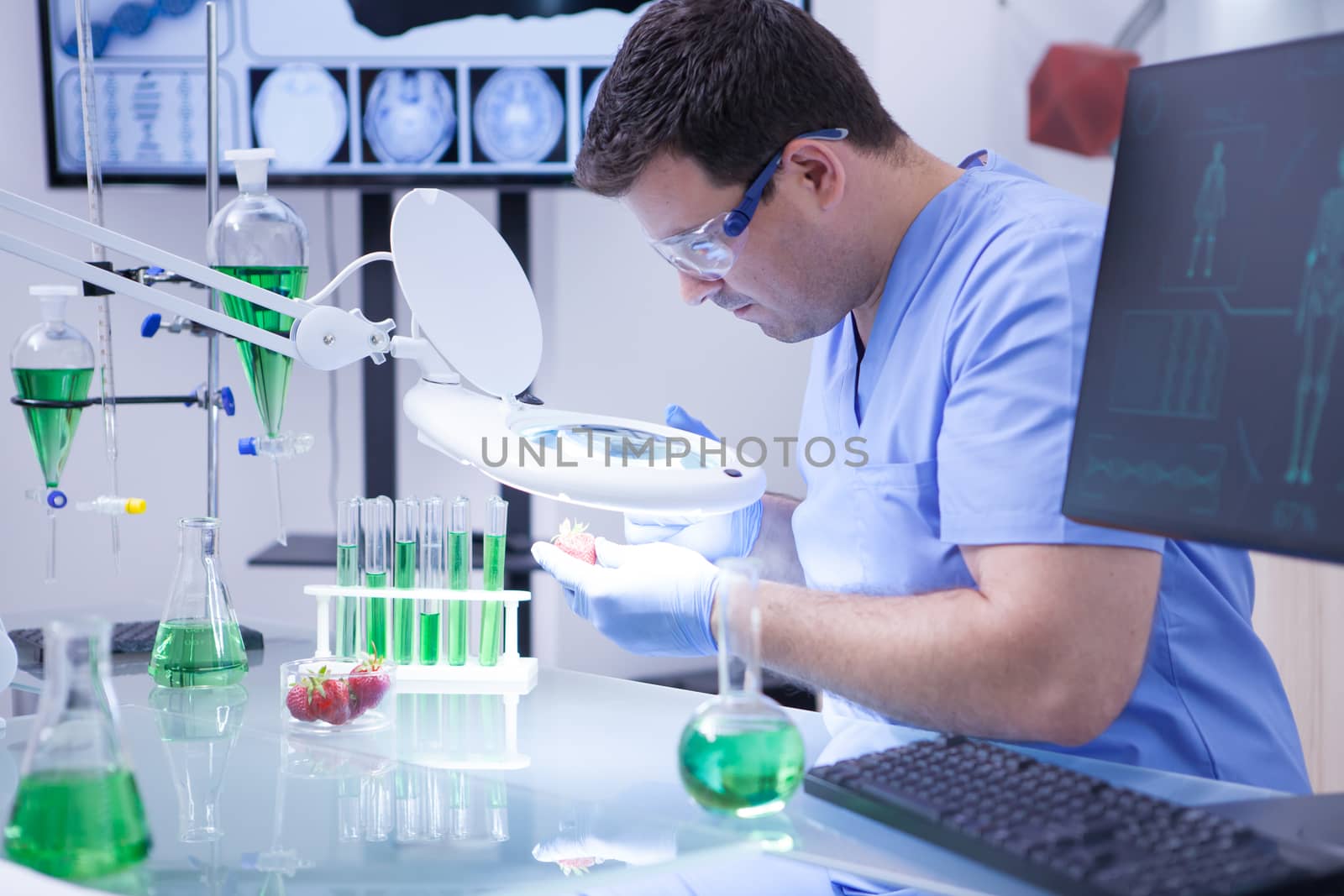 Young scientist man looking through a magnifying glass on a strawberry in a research lab. Quality control.