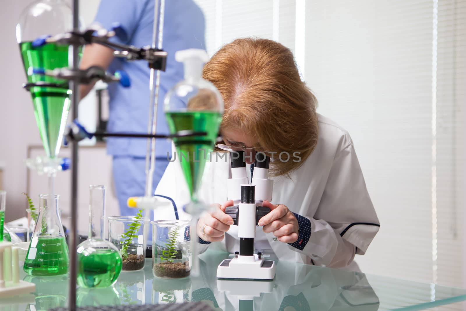 Middle age scientist adjusting her microscope to start scientific tests on plants. Research lab for health.