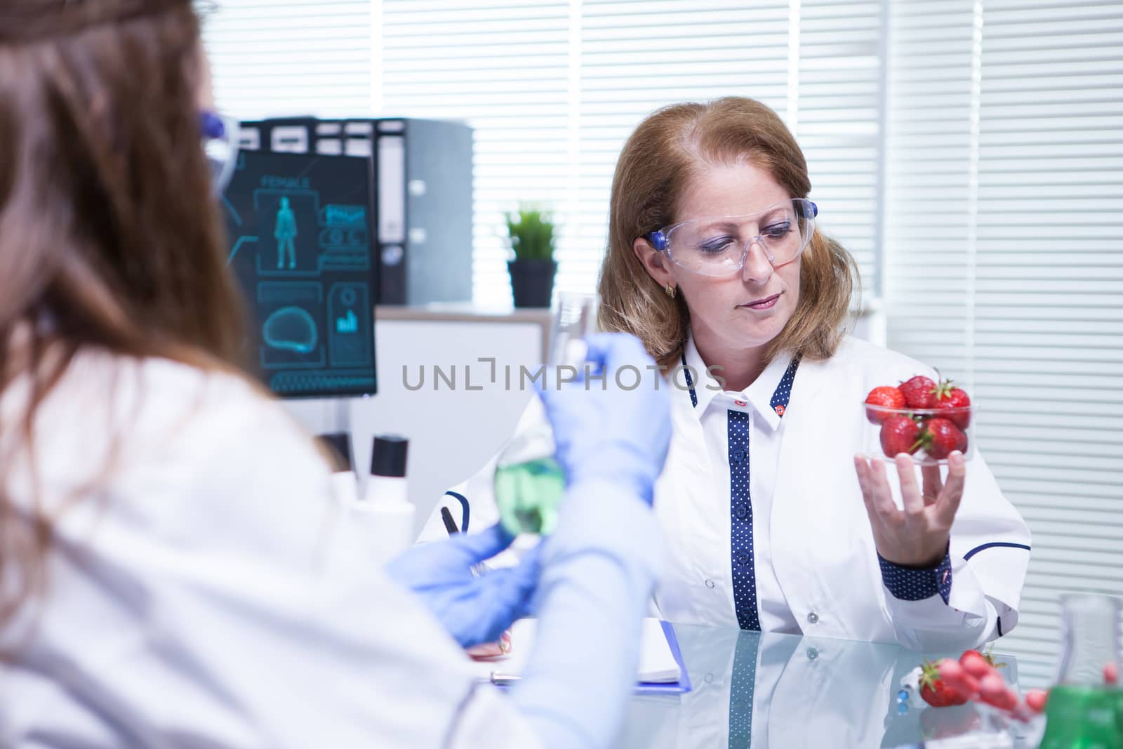 Caucasian female scientist looking at strawberries in her research lab. Quality inspection.