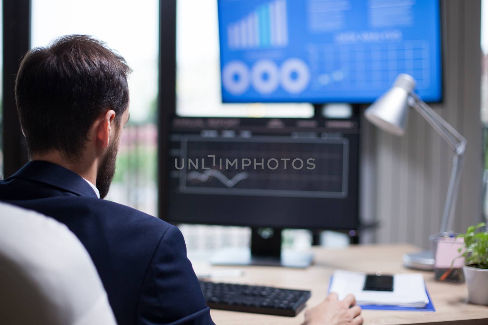Back view of young entrepreneur analysing the data from computer monitor in his office. Young freelancer.