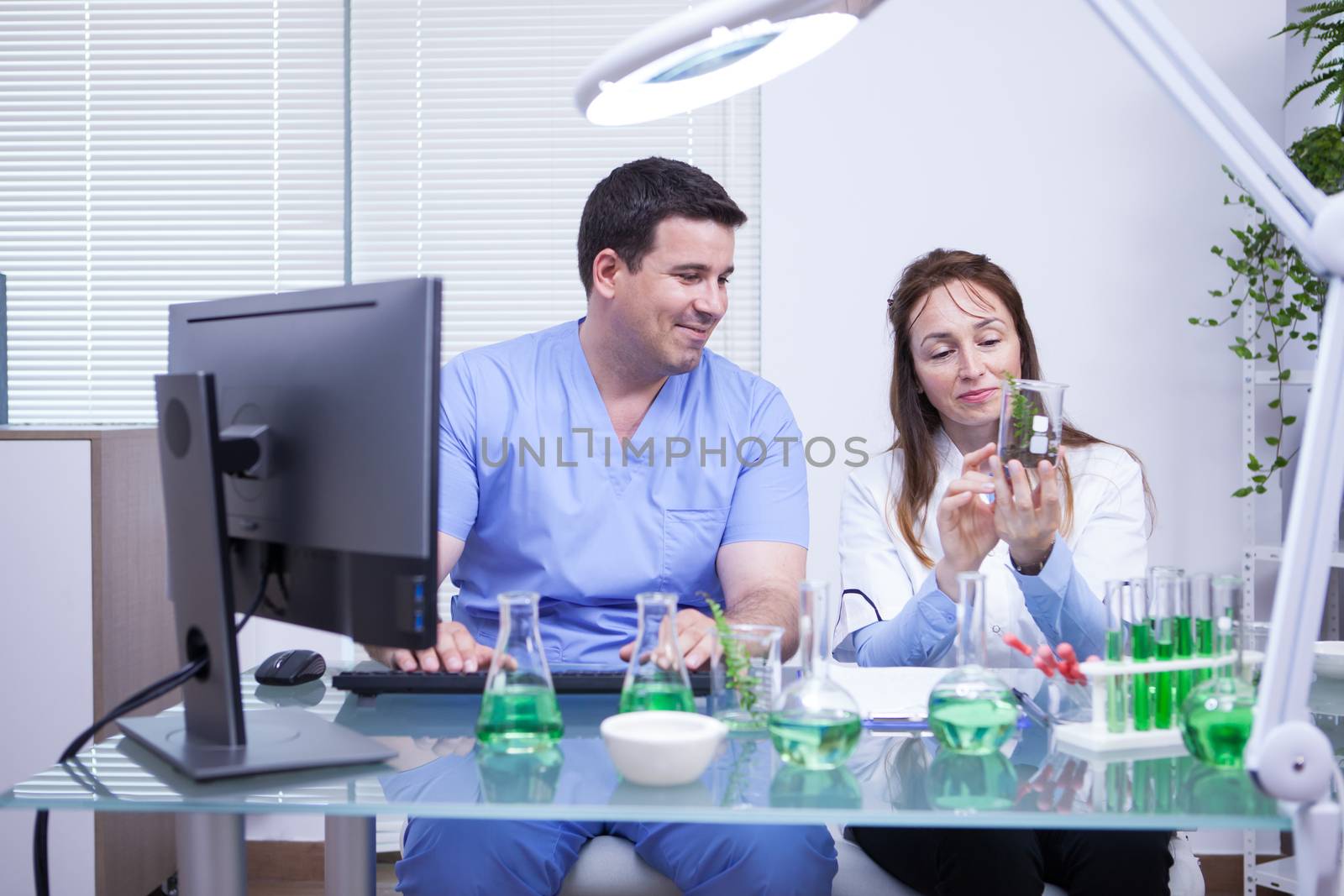 Team of man and female scientists looking at a sample of soil in a research lab. Agriculture quality control.