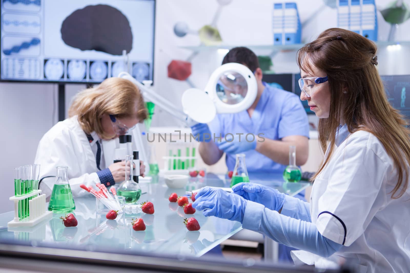 Food scientist working a research laboratory in white coat. Strawberry quality control.
