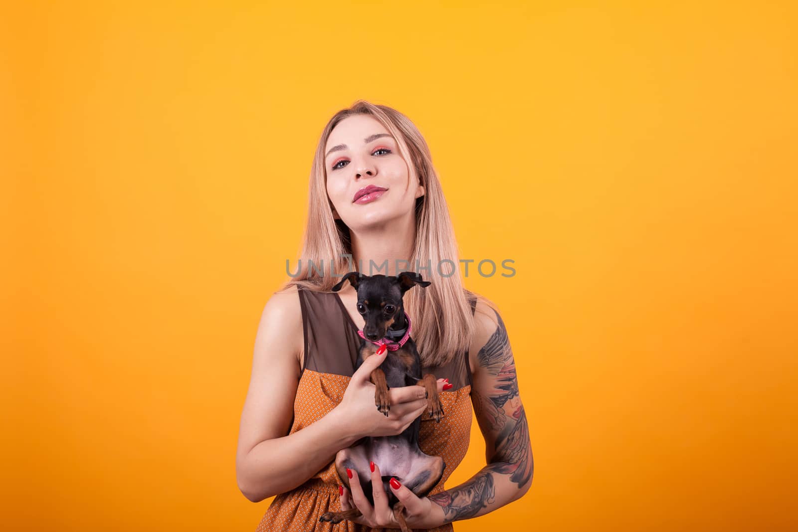 Beautiful women with casual dress and her adorable puppy over ellow background. Dog lover. Happy dog owner.