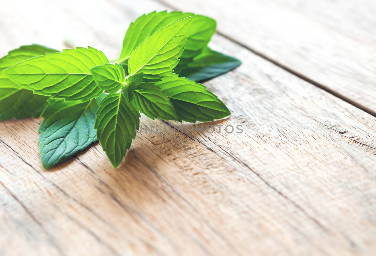 Closeup fresh mint on wood table background, herb and medical concept, selective focus