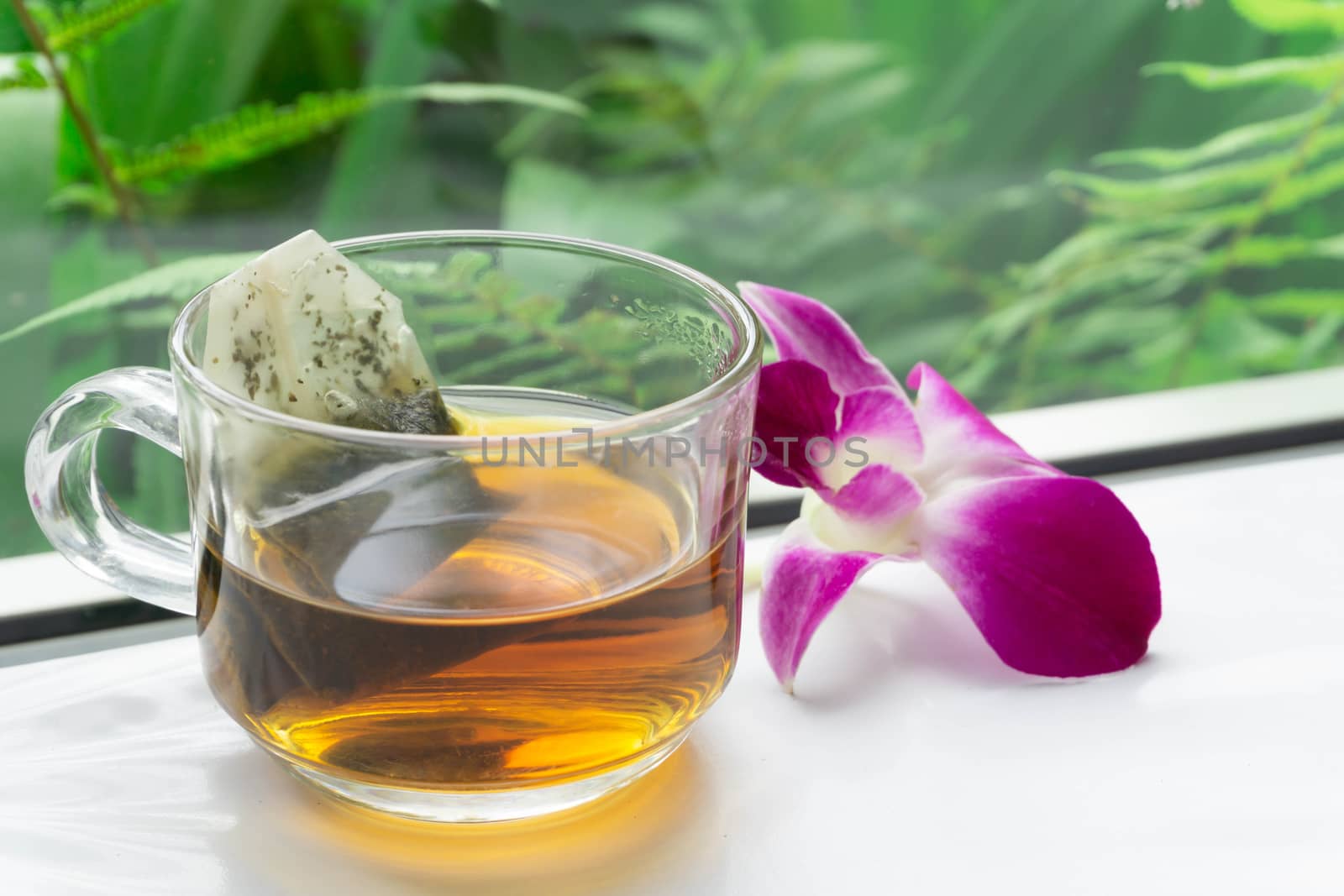 Close up glass of hot tea on wood table with green nature background