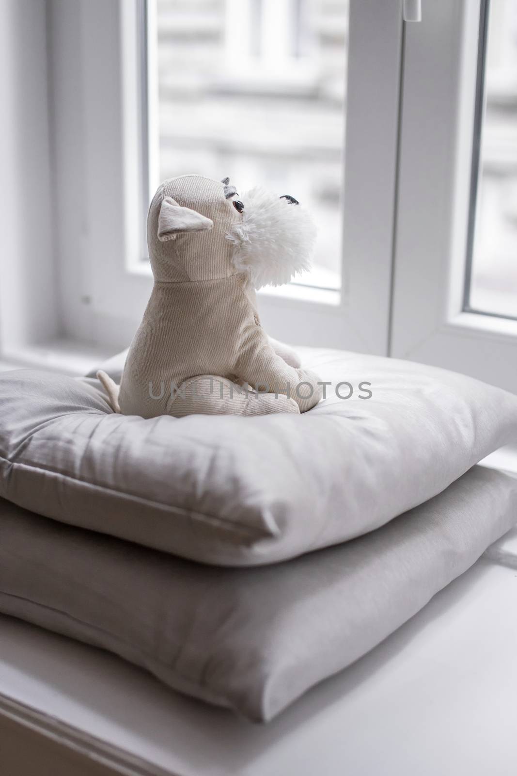 Sad looking plush puppy sitting on pillows, looking out the window. by tamas_gabor