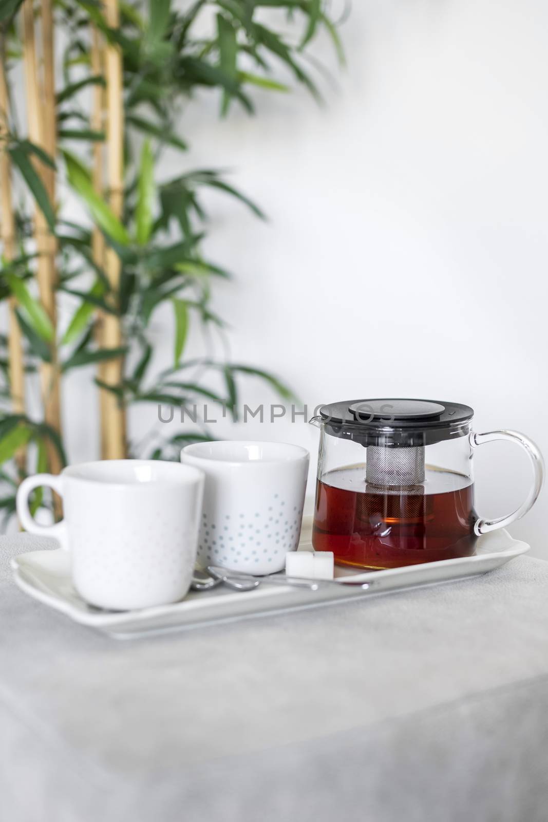 Teapot and cups setup on a tray with bamboo plant in the background by tamas_gabor