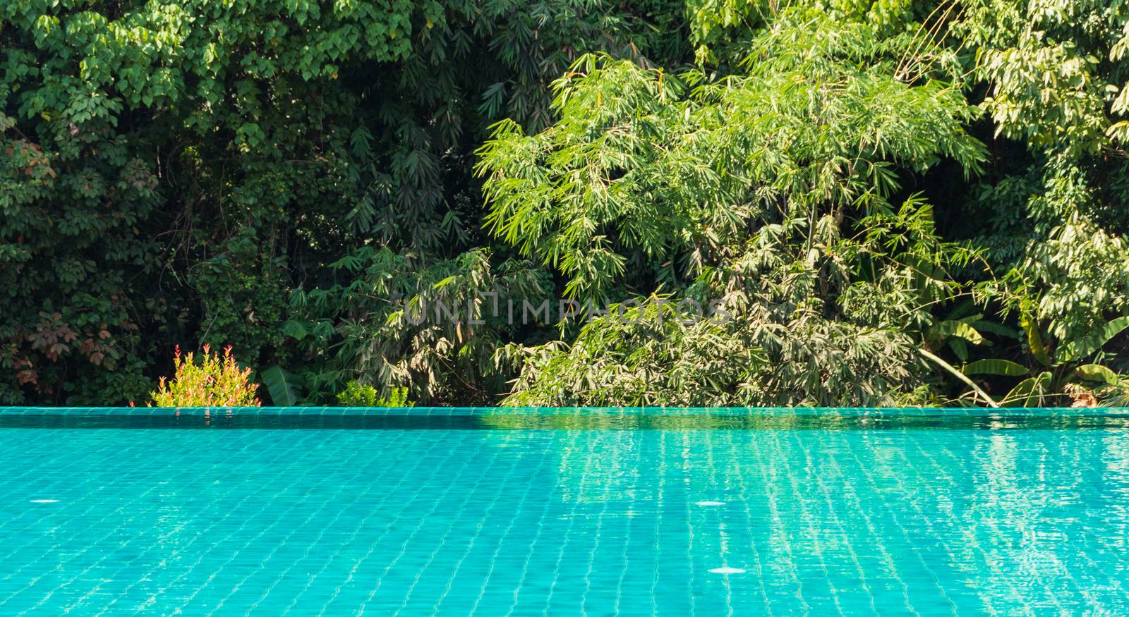 swimming pool in tropical garden by Khankeawsanan