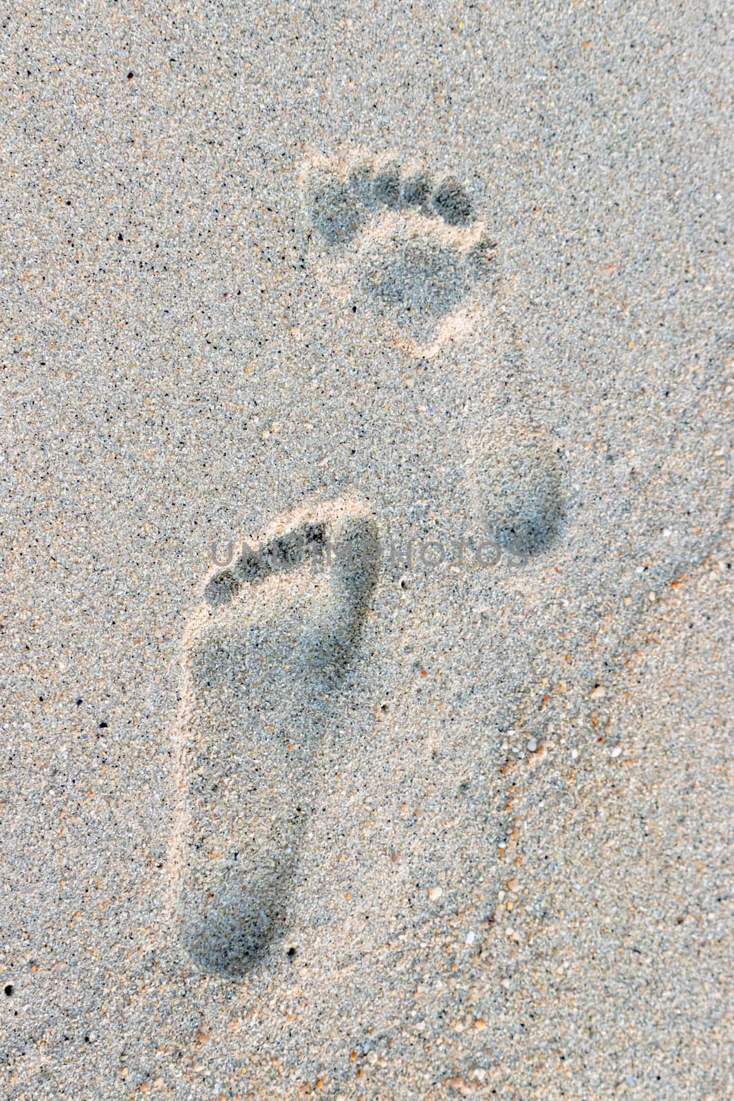 footprints in the sand