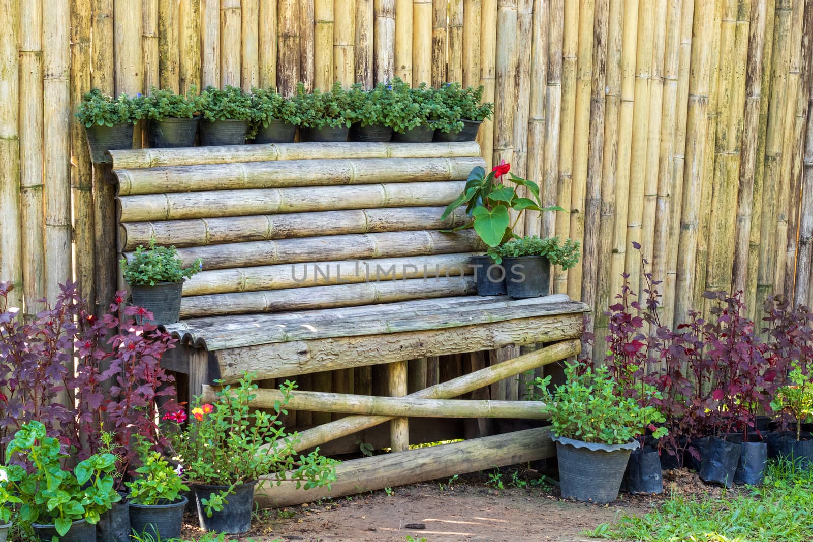 bamboo bench in the garden