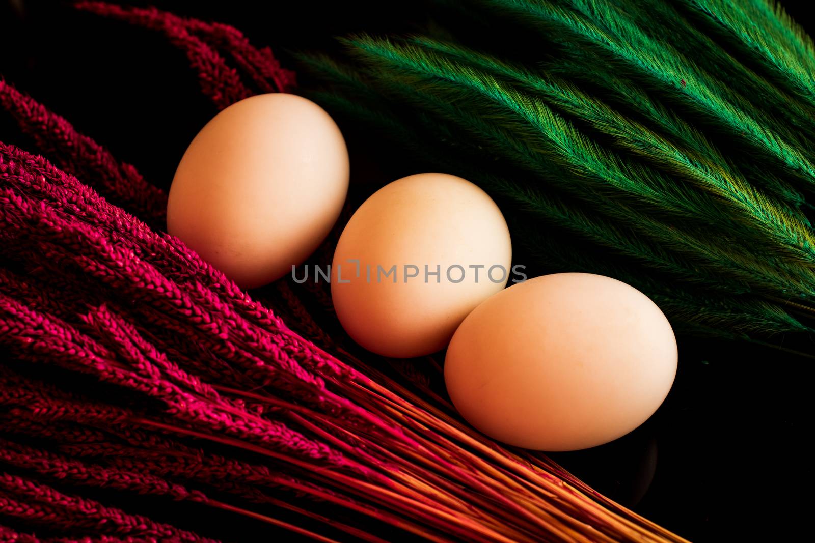 three eggs on red and green grass