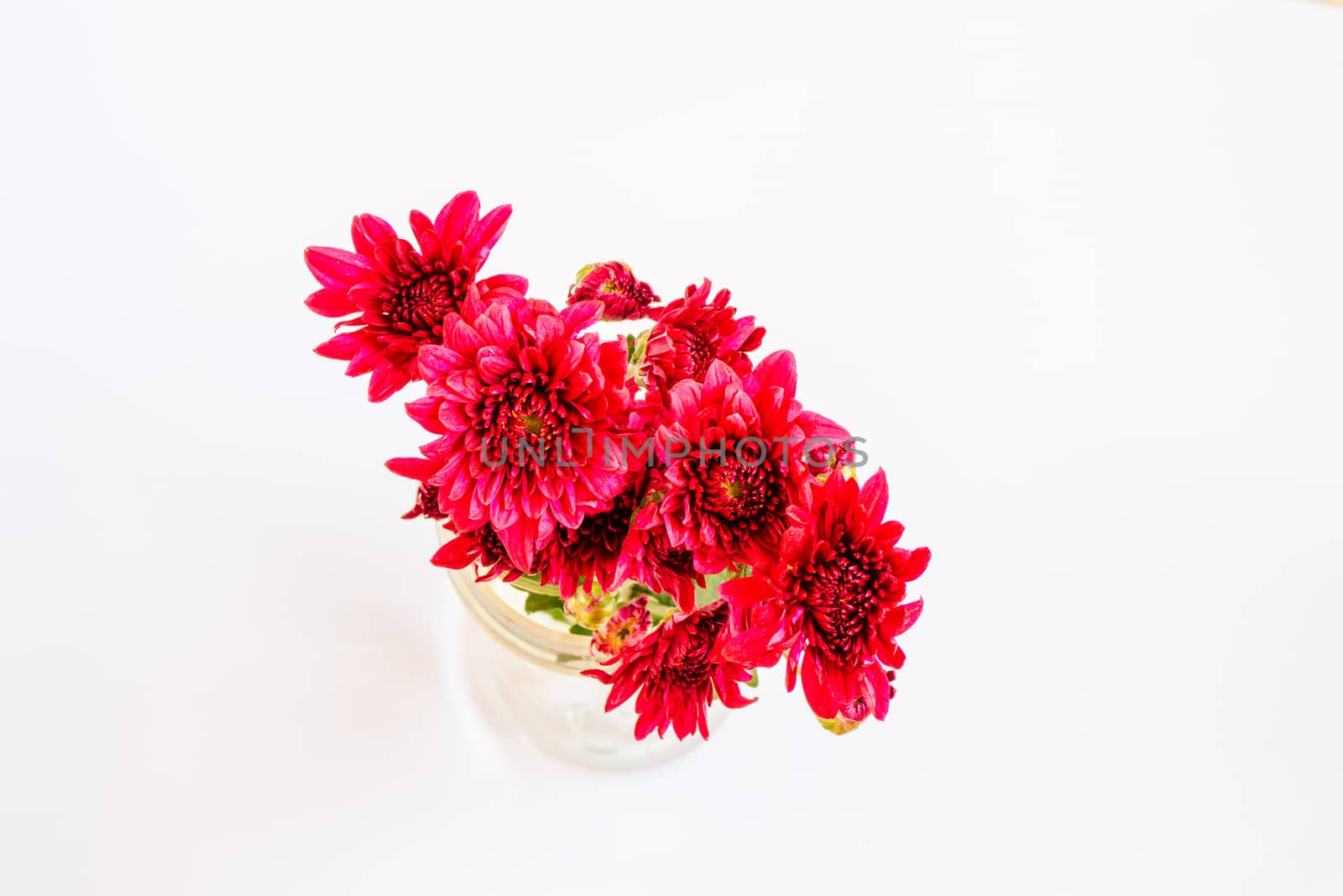 bouquet of red chrysanthemum  on black background by Khankeawsanan