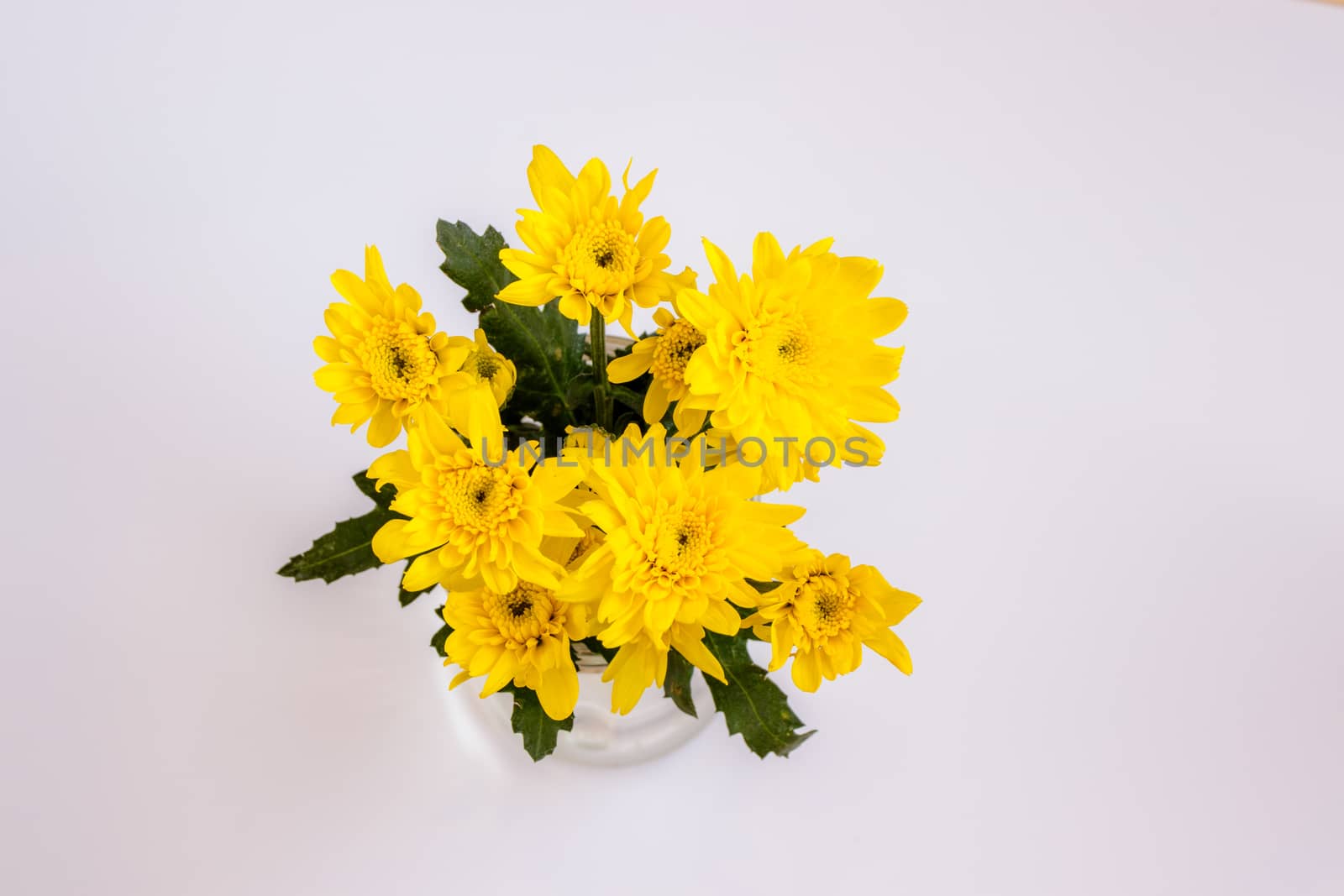 bouquet of yellow chrysanthemum  on black background by Khankeawsanan