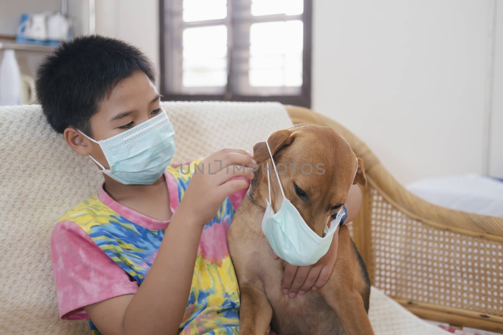 Boy in a medical mask puts a medical mask on his dog. Care for loved ones. Basic hygiene rules.