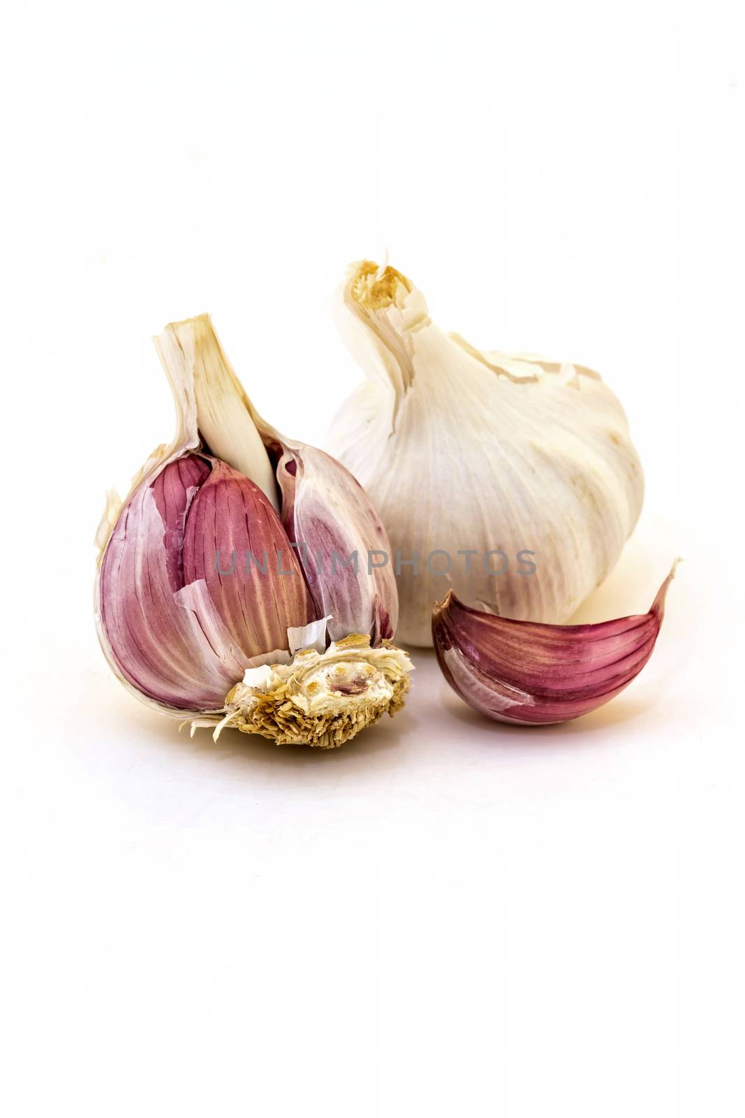 Healthy garlic on the white background 