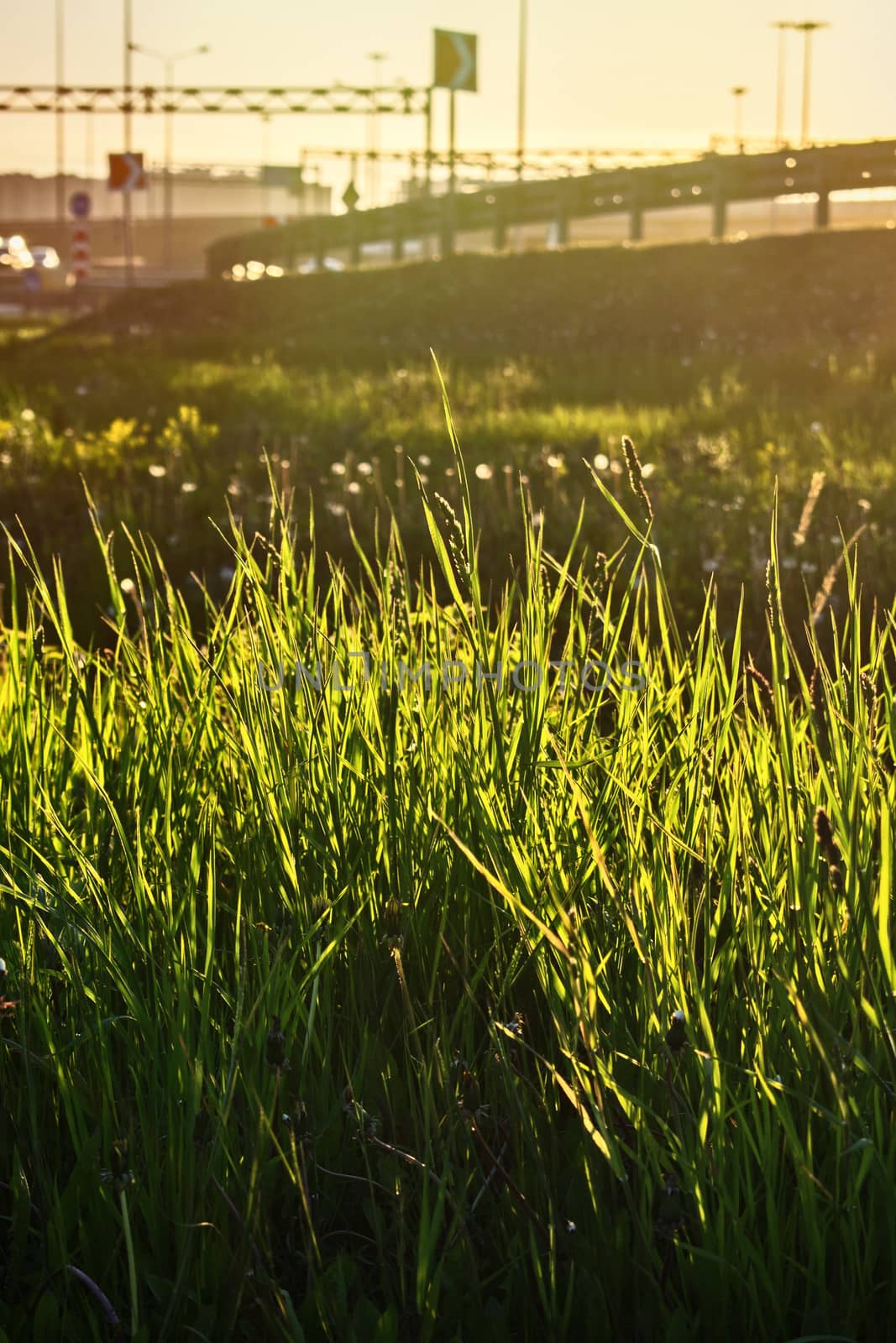 The evening sun illuminates the surrounding highway and grass growing next to the road