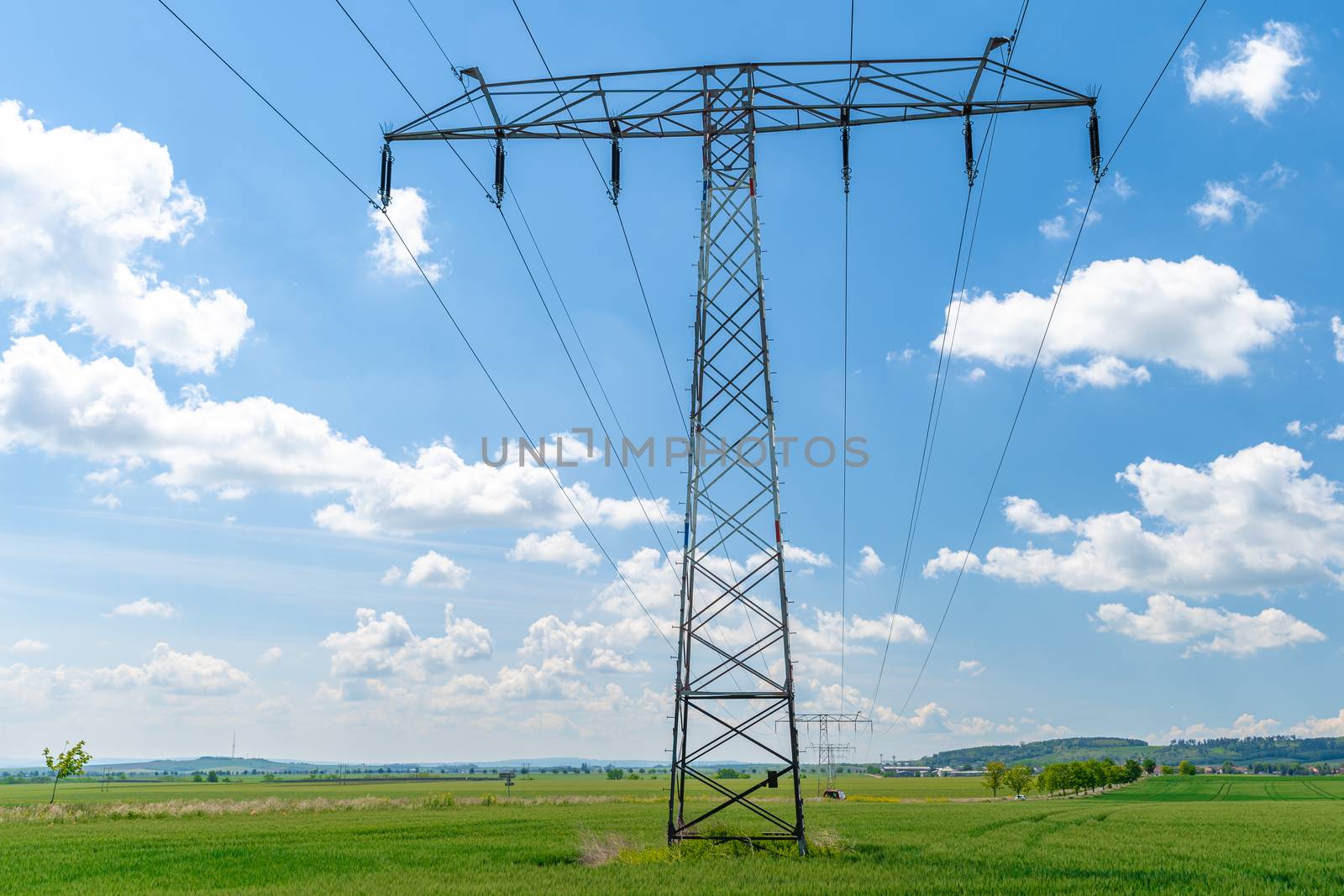 high voltage wires over a field with farm plants.