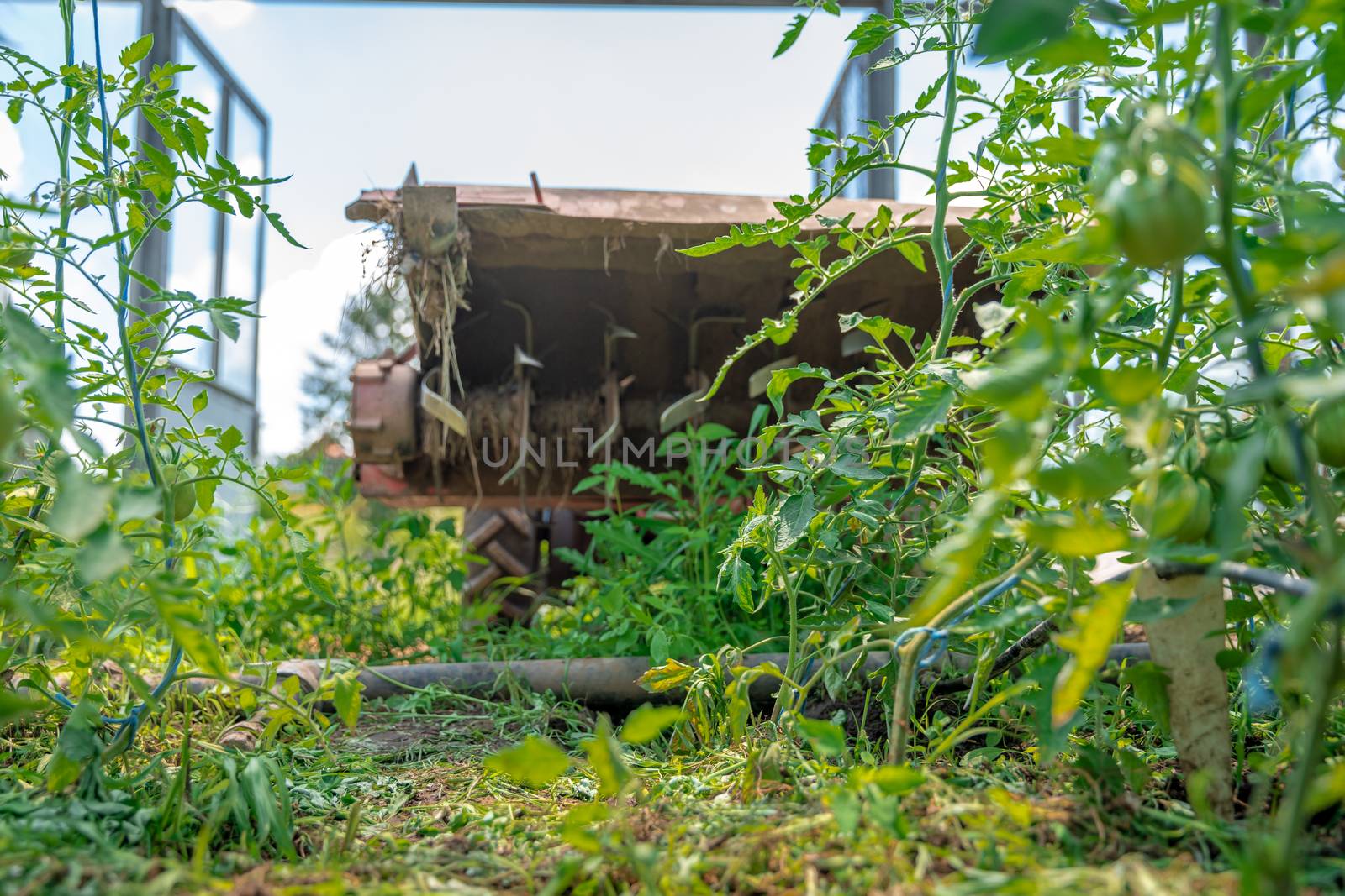small old tractor for work in the field on an organic farm by Edophoto
