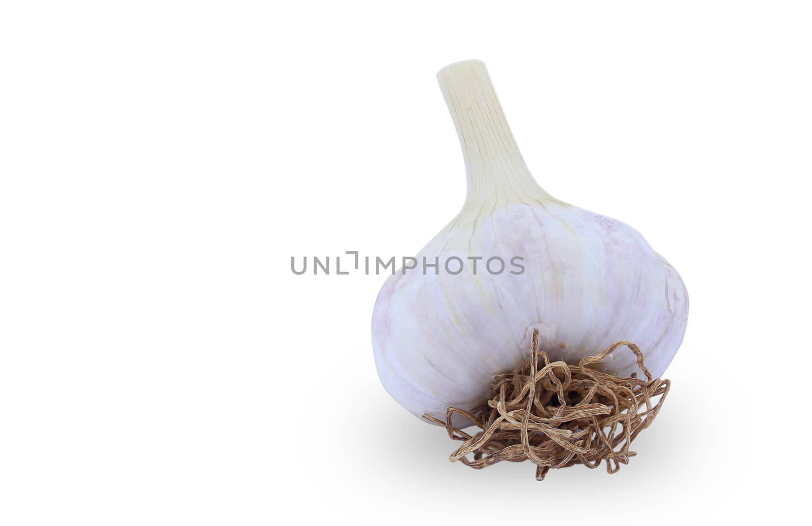 Fresh garlic isolated on white background