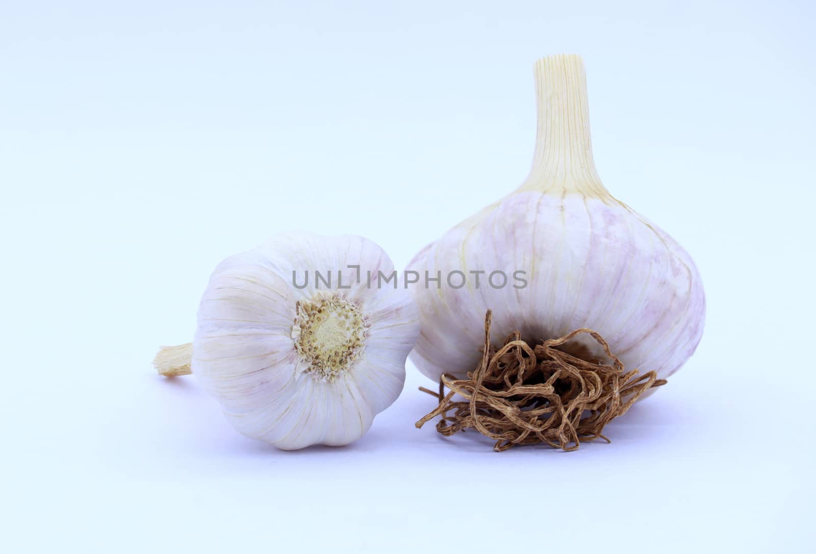 Fresh Garlic isolated on white by wittpak