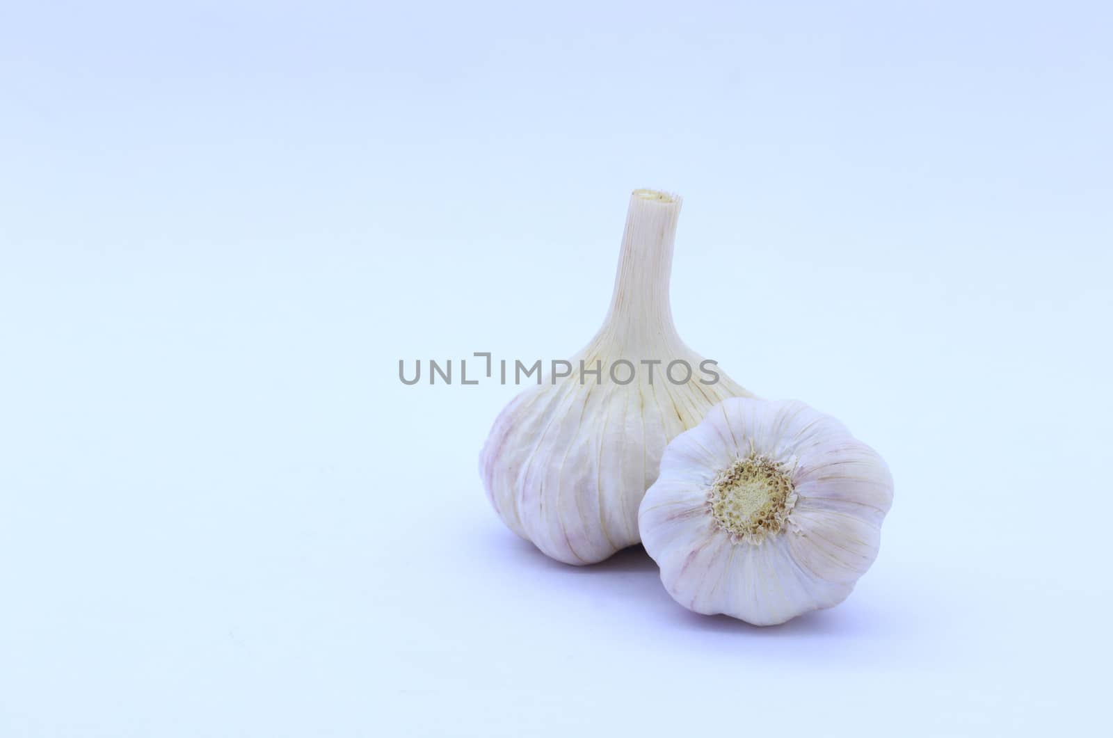 Fresh garlic isolated on white background