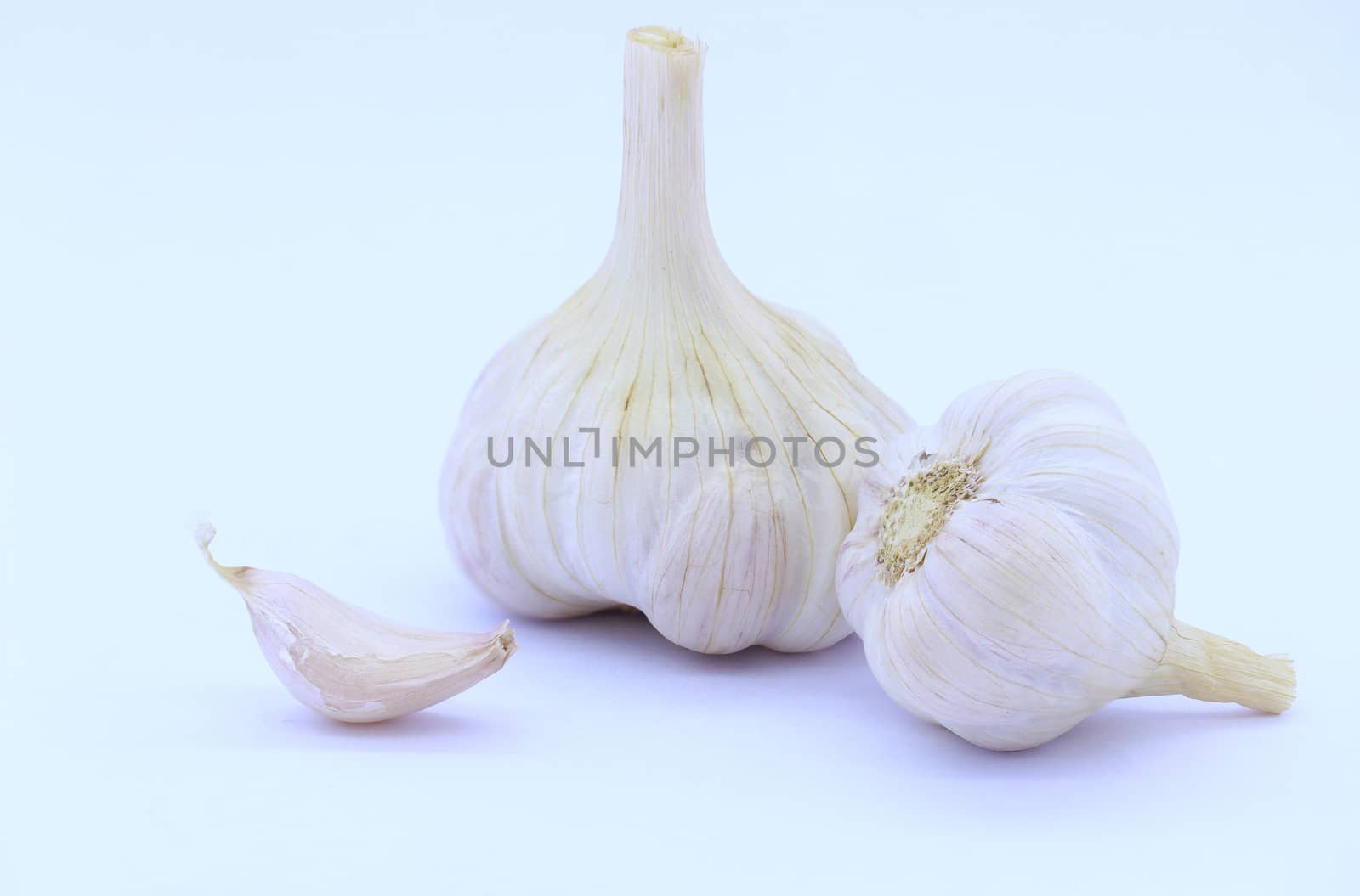Fresh Garlic isolated on white by wittpak
