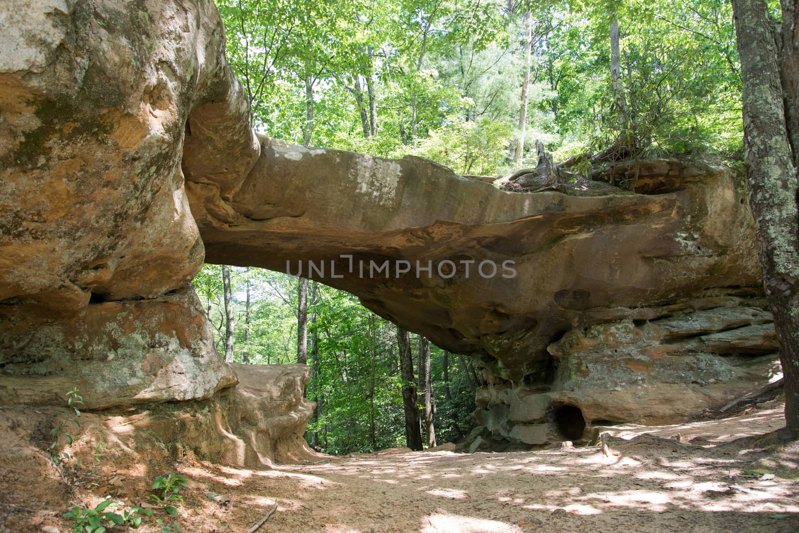 Princess Arch sandstone arch in Red River Gorge State Park in Kentucky.