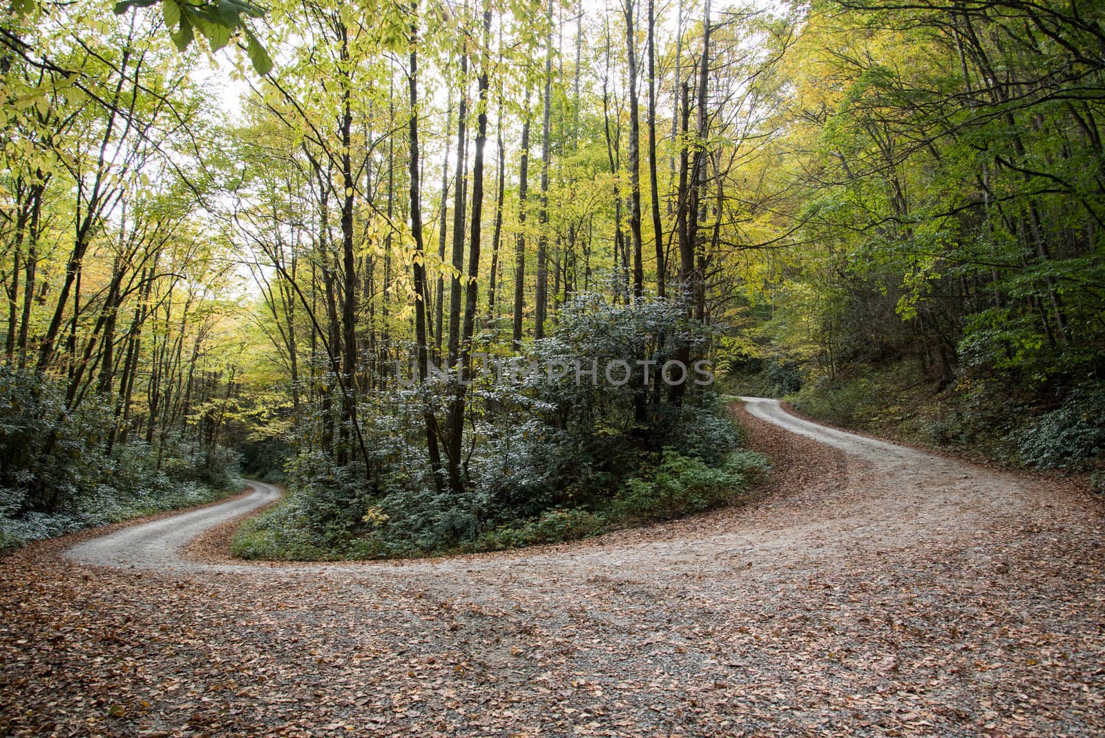 A gravel mountain road