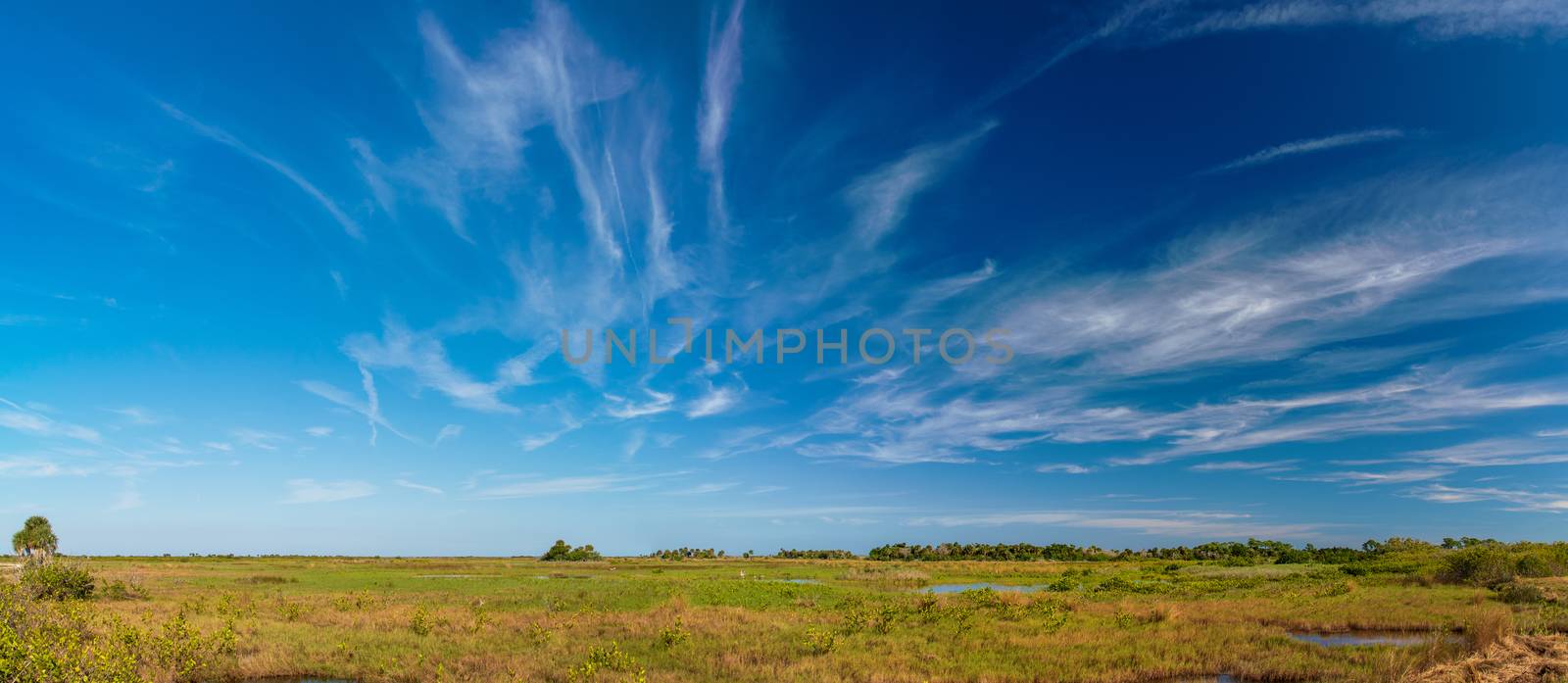 Panaroamic view of Canaveral National Seashore.