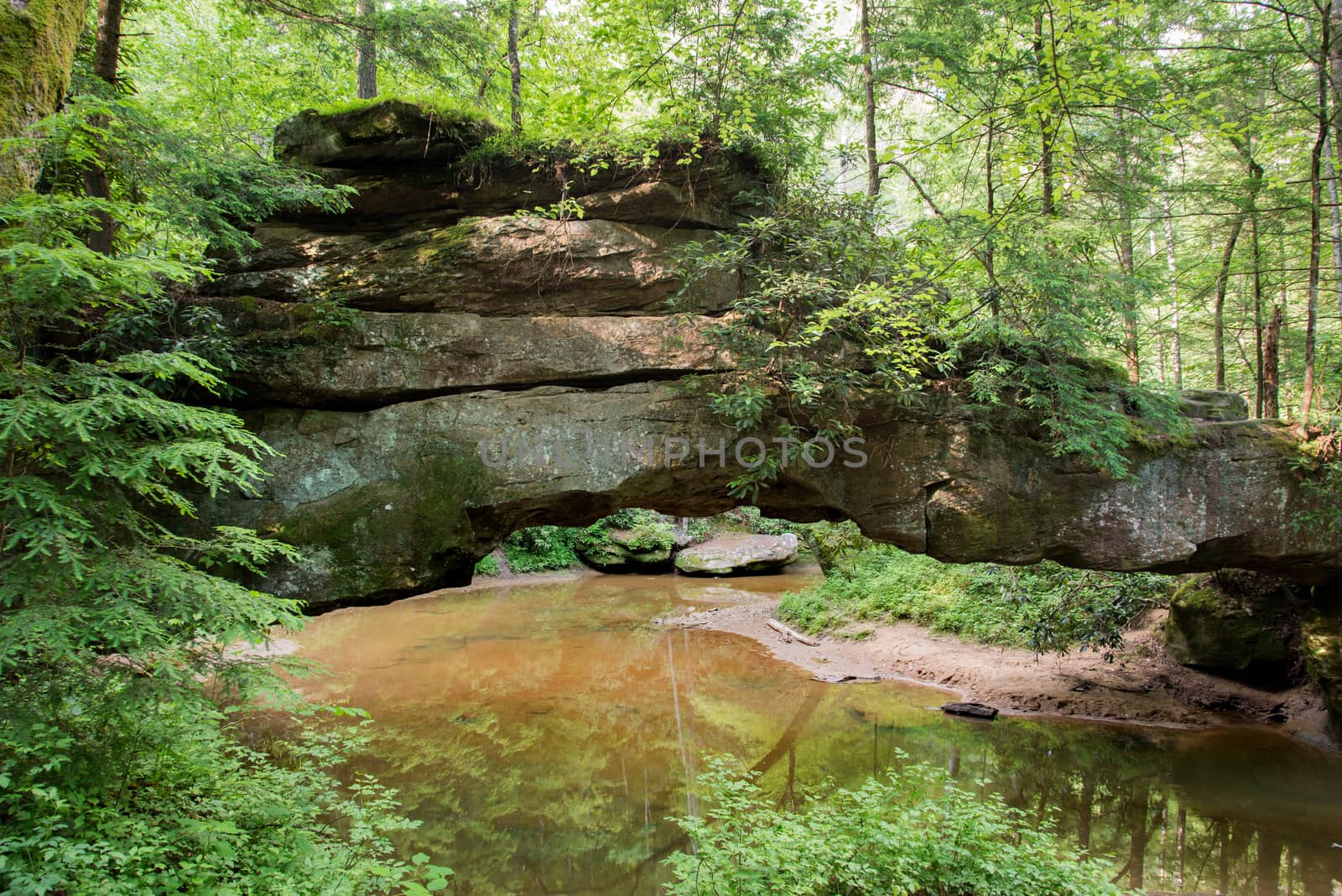 Rock Bridge arch spans a creek in Red River Gorge State Park in Kentucky.