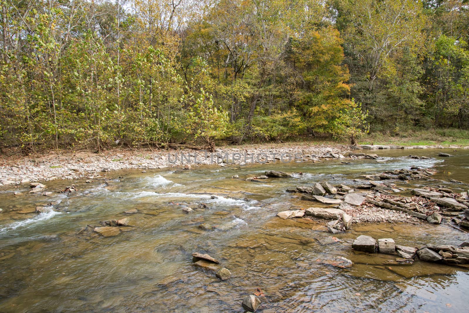 Otter Creek in early fall
