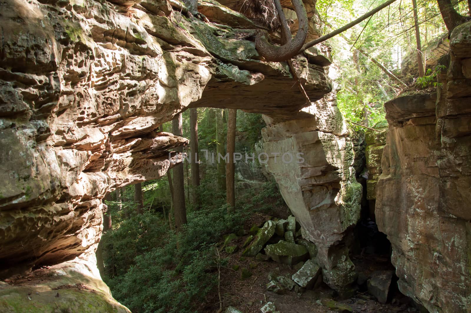 Splitbow Arch in the Big South Fork Recreation Area in Kentucky.
