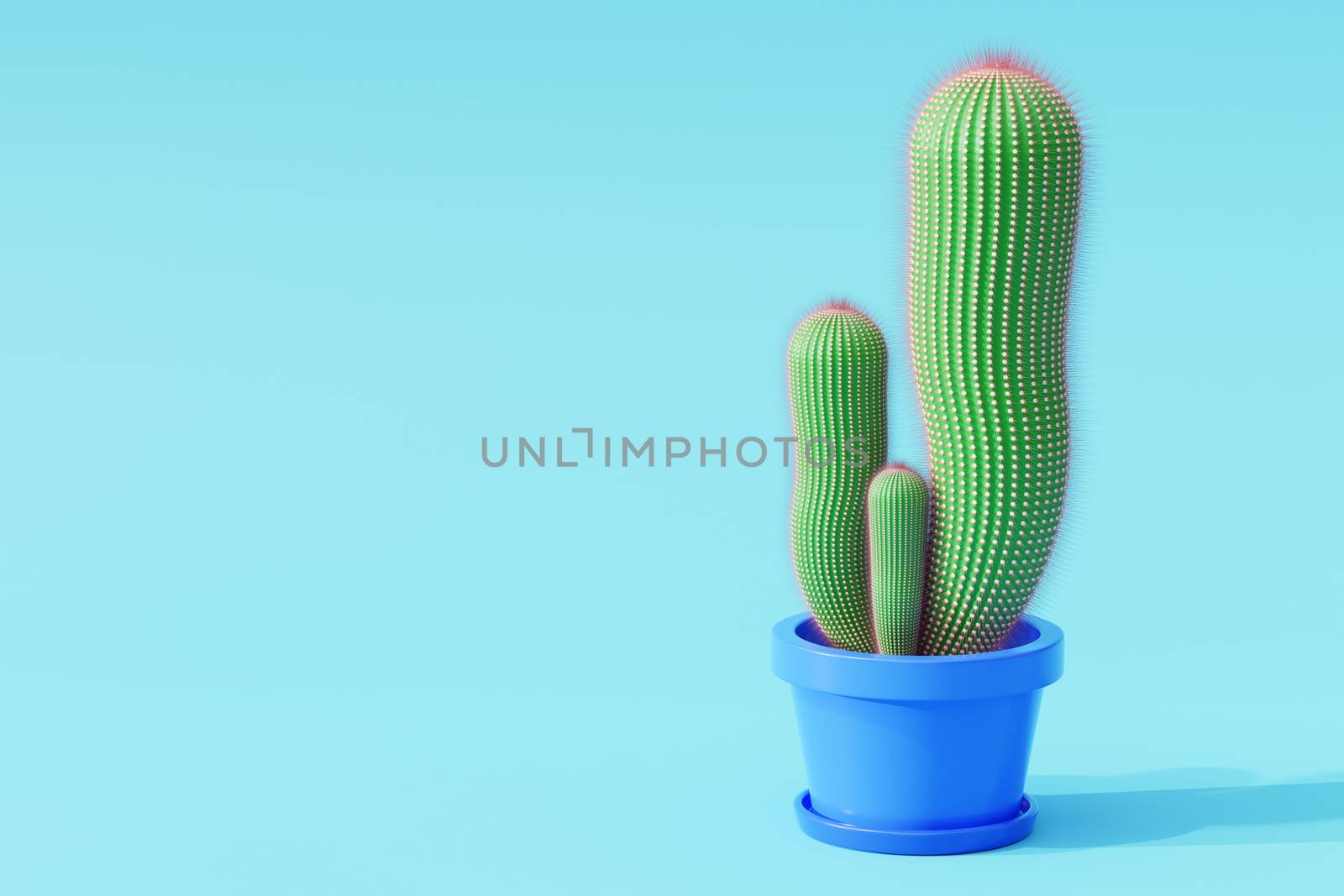 Cactus in cartoon minimal style with a blue background. It is a plant that lives in the western desert. The concept of lover cactus. Copy space for your article on the left. 3D illustration rendering.