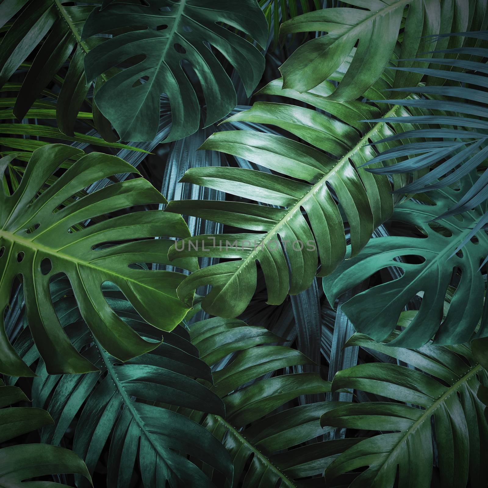 Tropical leaves background by Myimagine
