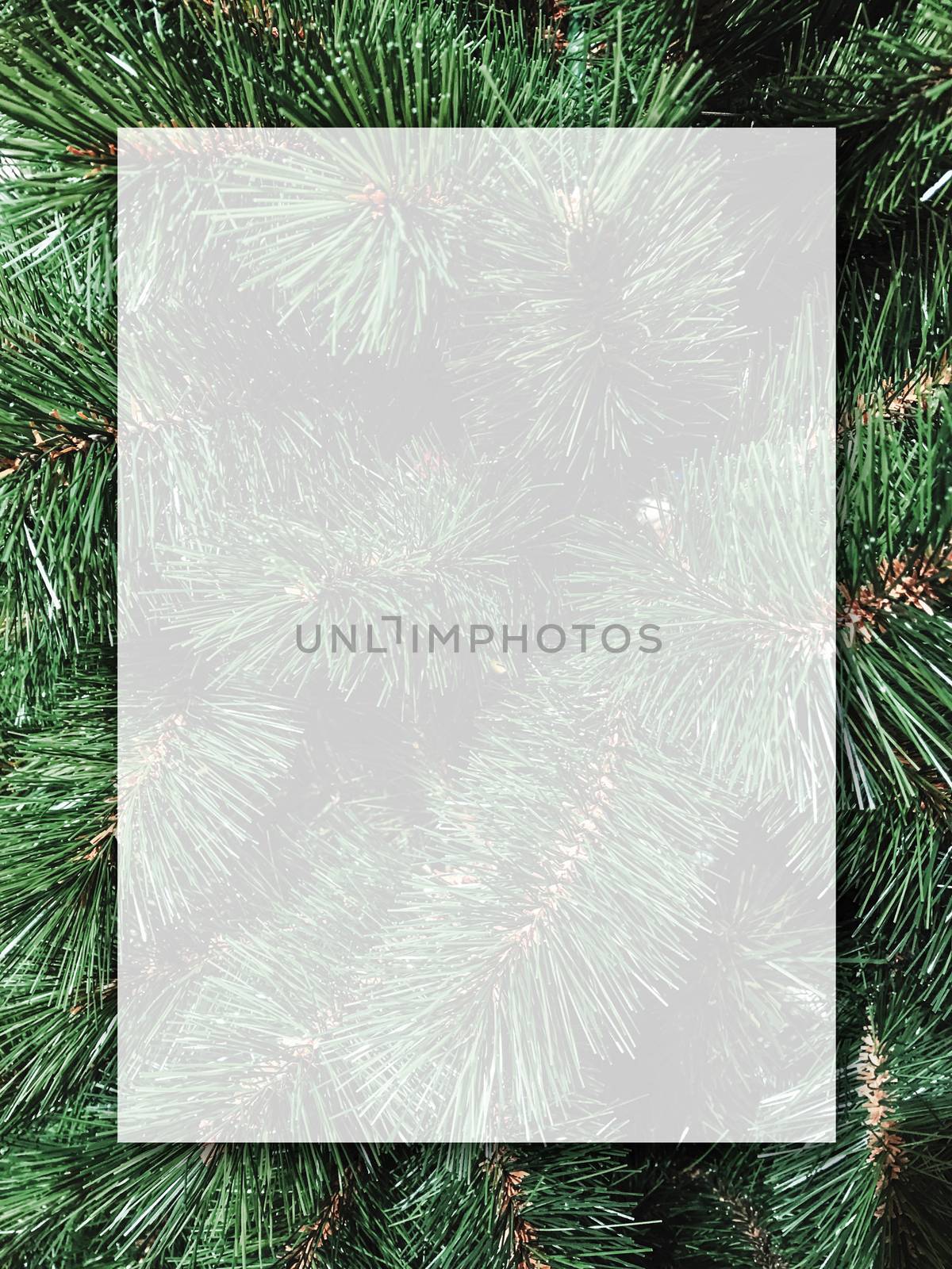 Christmas background design of blank white transparent board on  by Myimagine