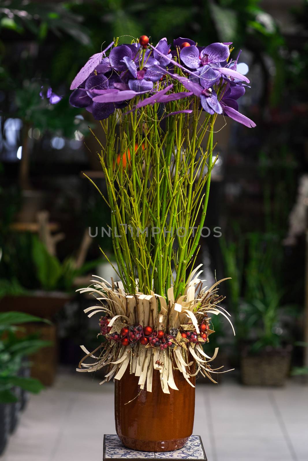 purple flower with a long stem decorations in a pot on a background of a greenhouse