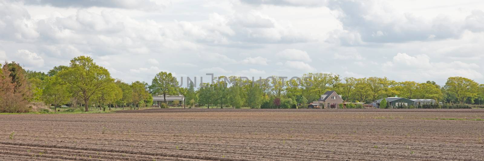 View of agricultural land prepared for sowing, arable soil, the Netherlands