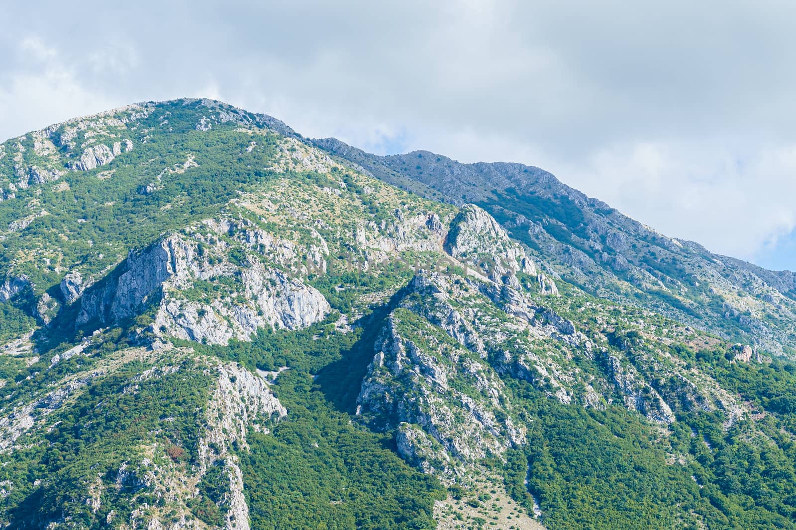 peaks and slopes of mountains covered with vegetation against a blue sky with clouds